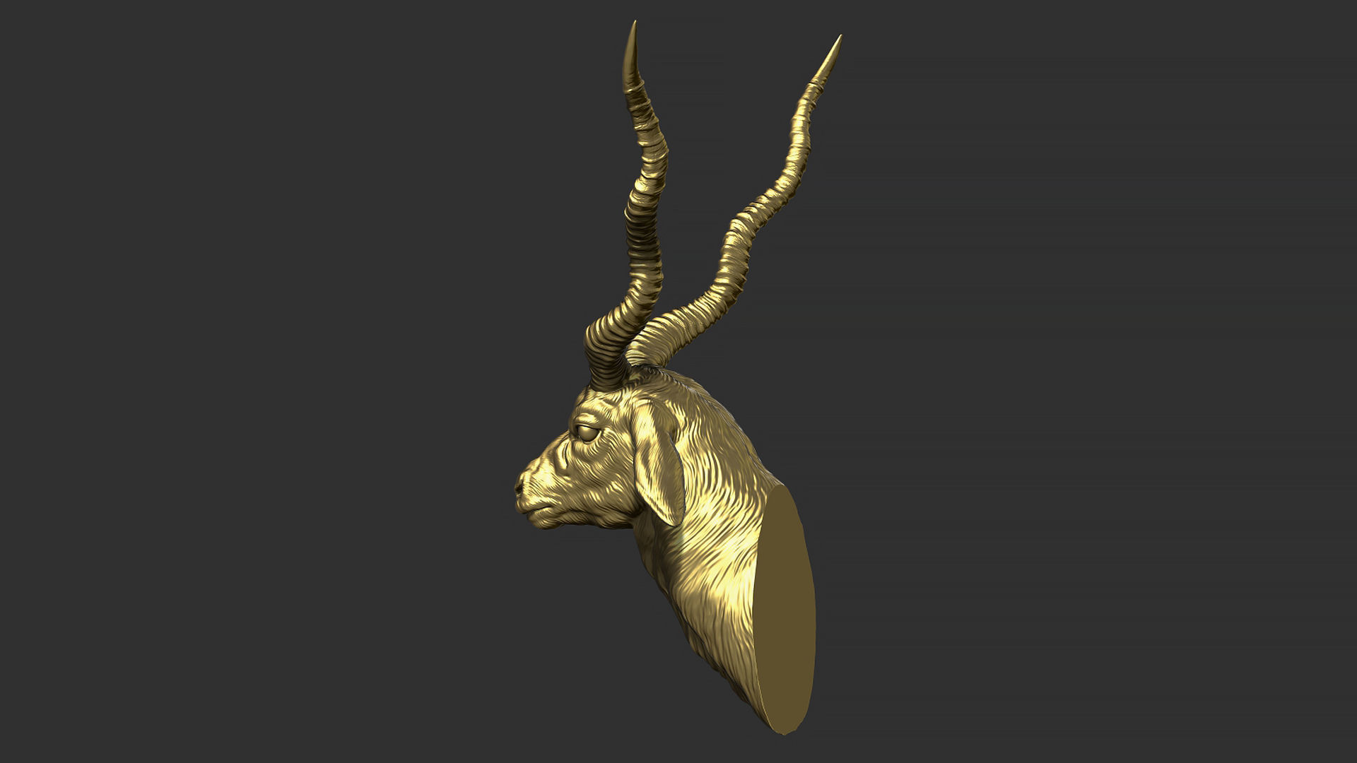Blackbuck antelope bust 3D print model_21