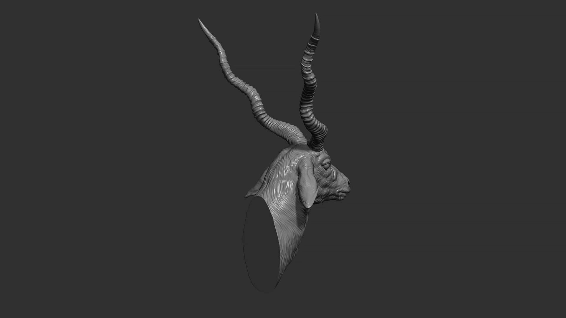 Blackbuck antelope bust 3D print model_23