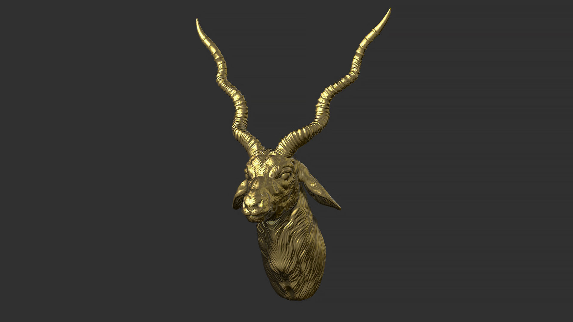 Blackbuck antelope bust 3D print model_20