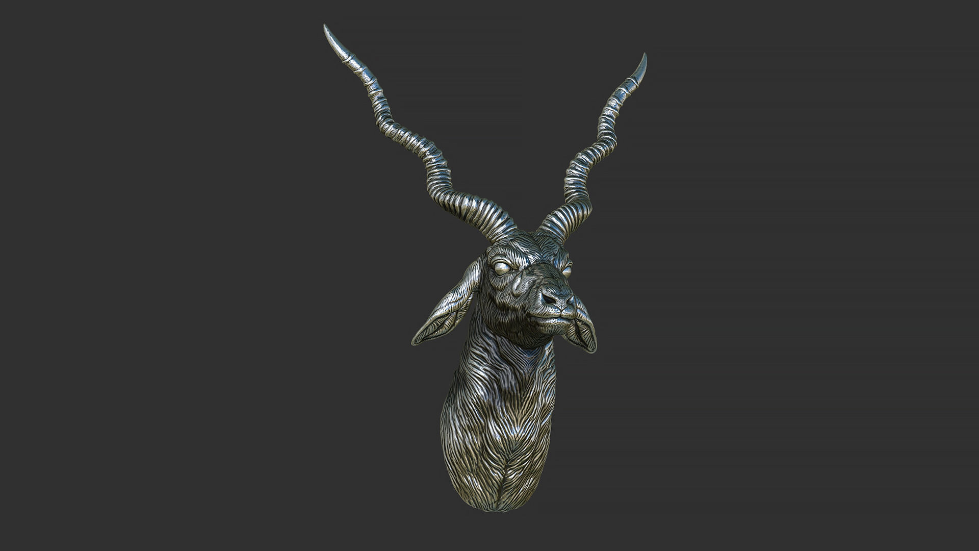 Blackbuck antelope bust 3D print model_15