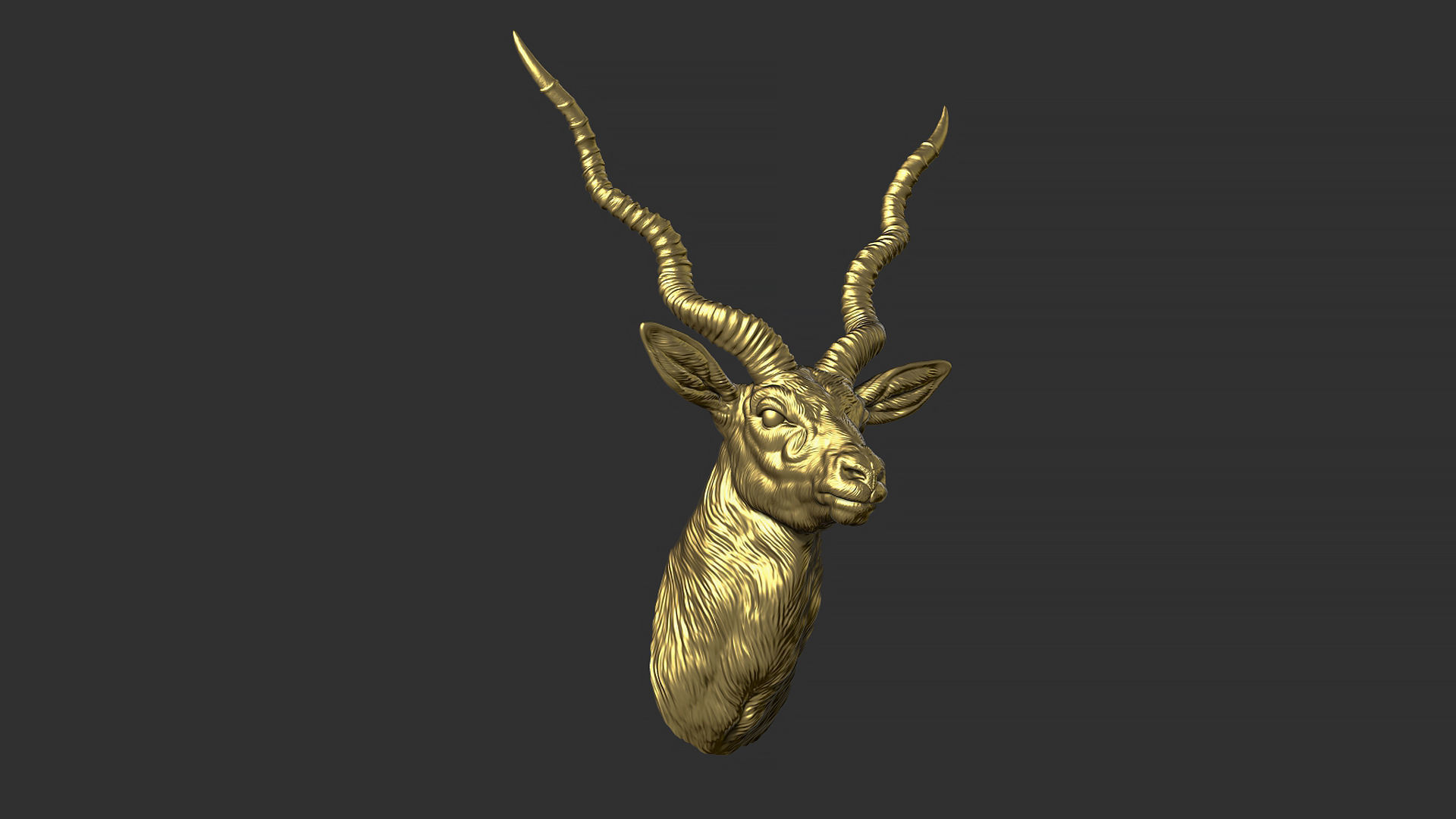 Blackbuck antelope bust 3D print model_10