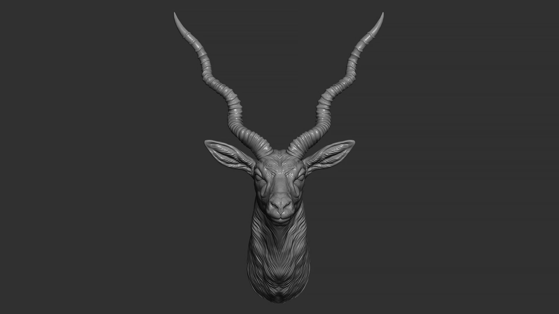 Blackbuck antelope bust 3D print model_3