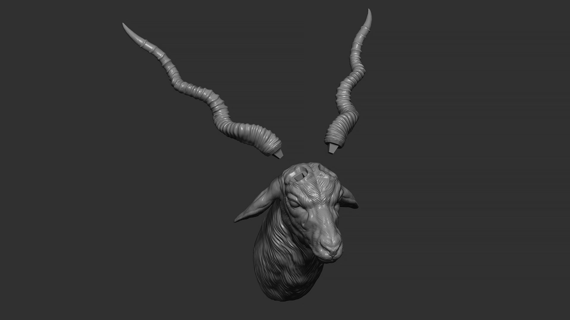 Blackbuck antelope bust 3D print model_26