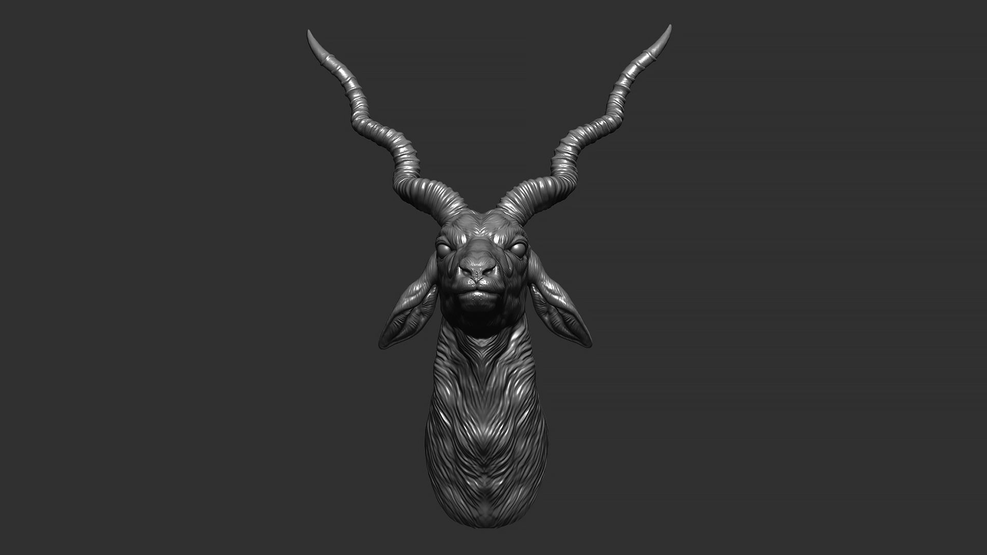 Blackbuck antelope bust 3D print model_19