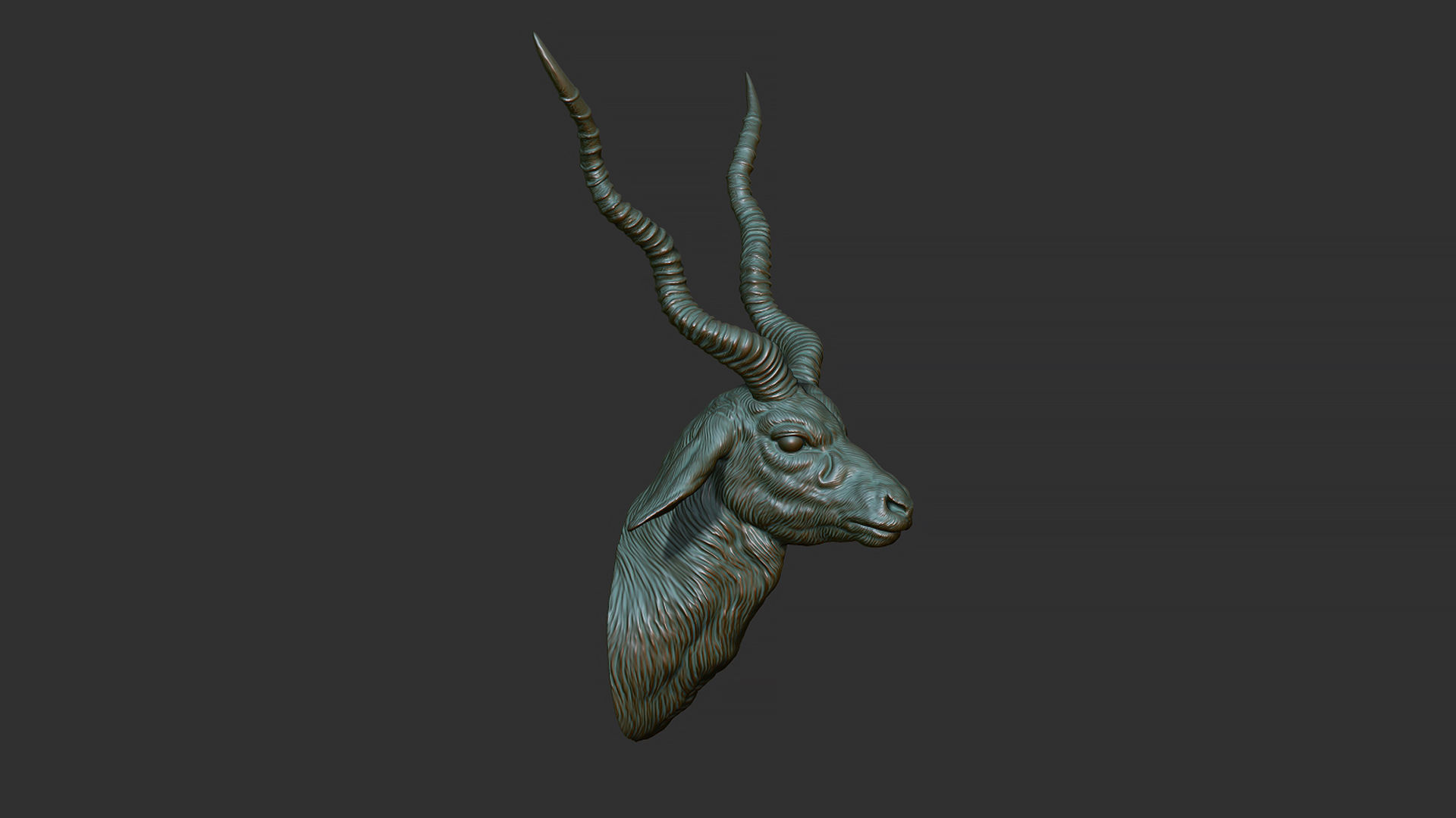 Blackbuck antelope bust 3D print model_14
