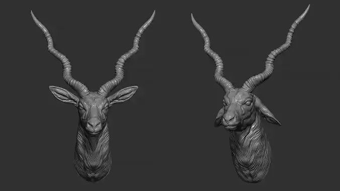 Blackbuck antelope bust