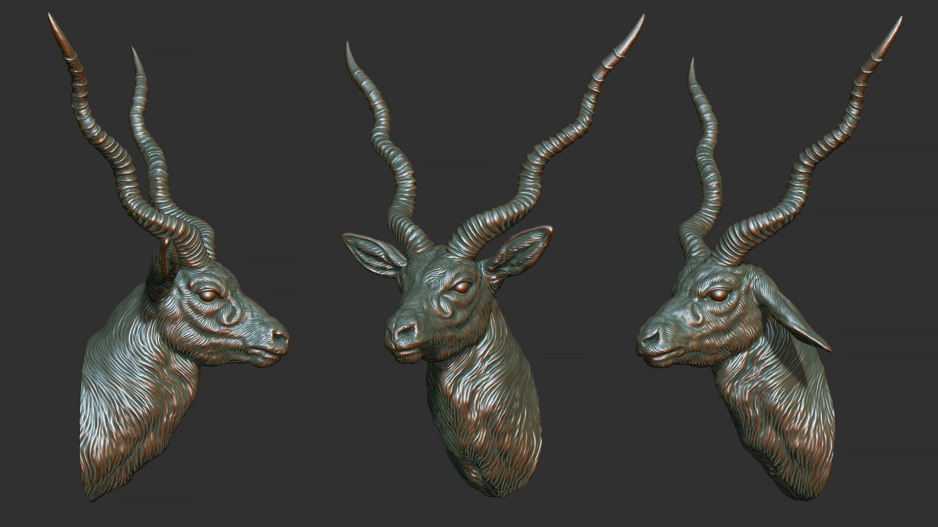 Blackbuck antelope bust 3D print model_2