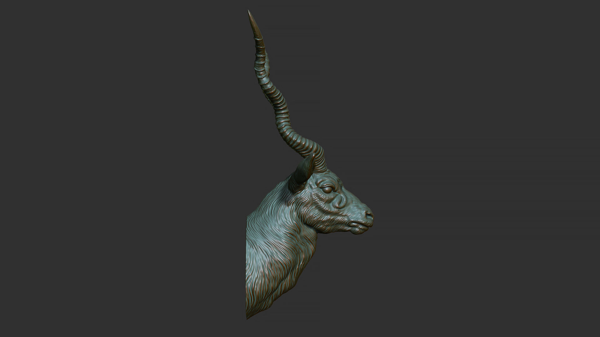 Blackbuck antelope bust 3D print model_8