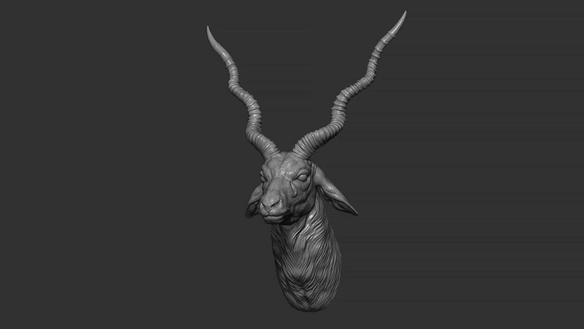Blackbuck antelope bust 3D print model_22
