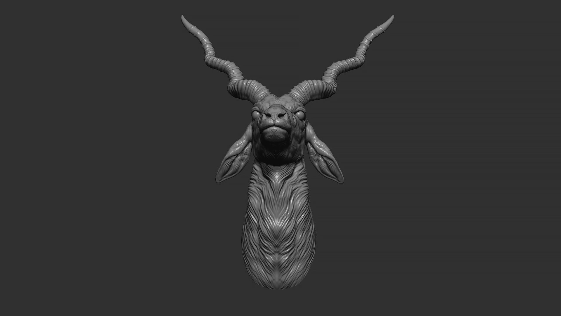 Blackbuck antelope bust 3D print model_25