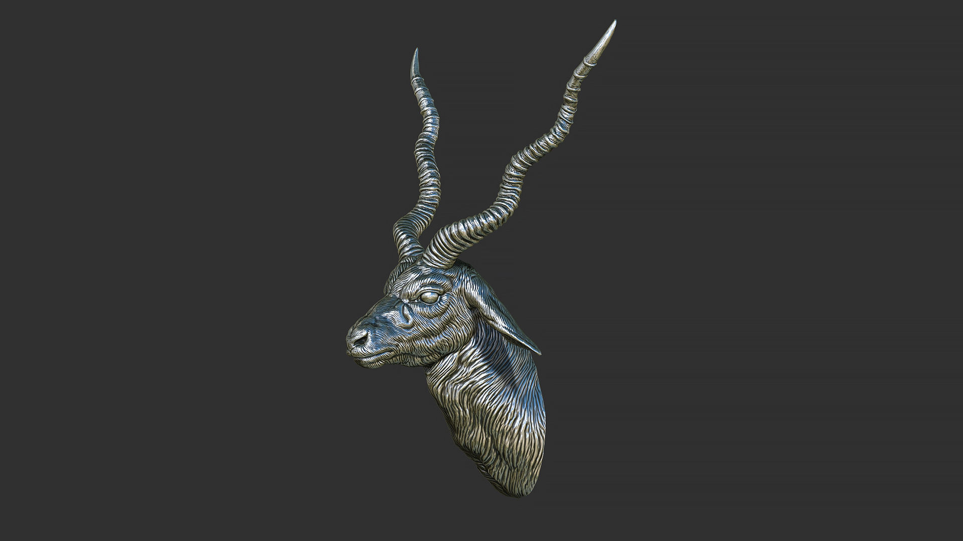 Blackbuck antelope bust 3D print model_16
