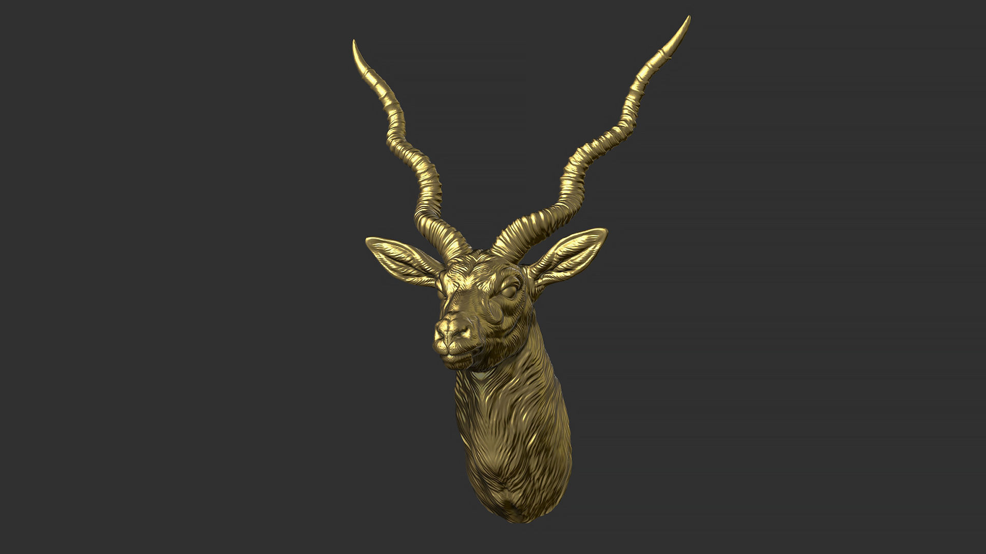 Blackbuck antelope bust 3D print model_9