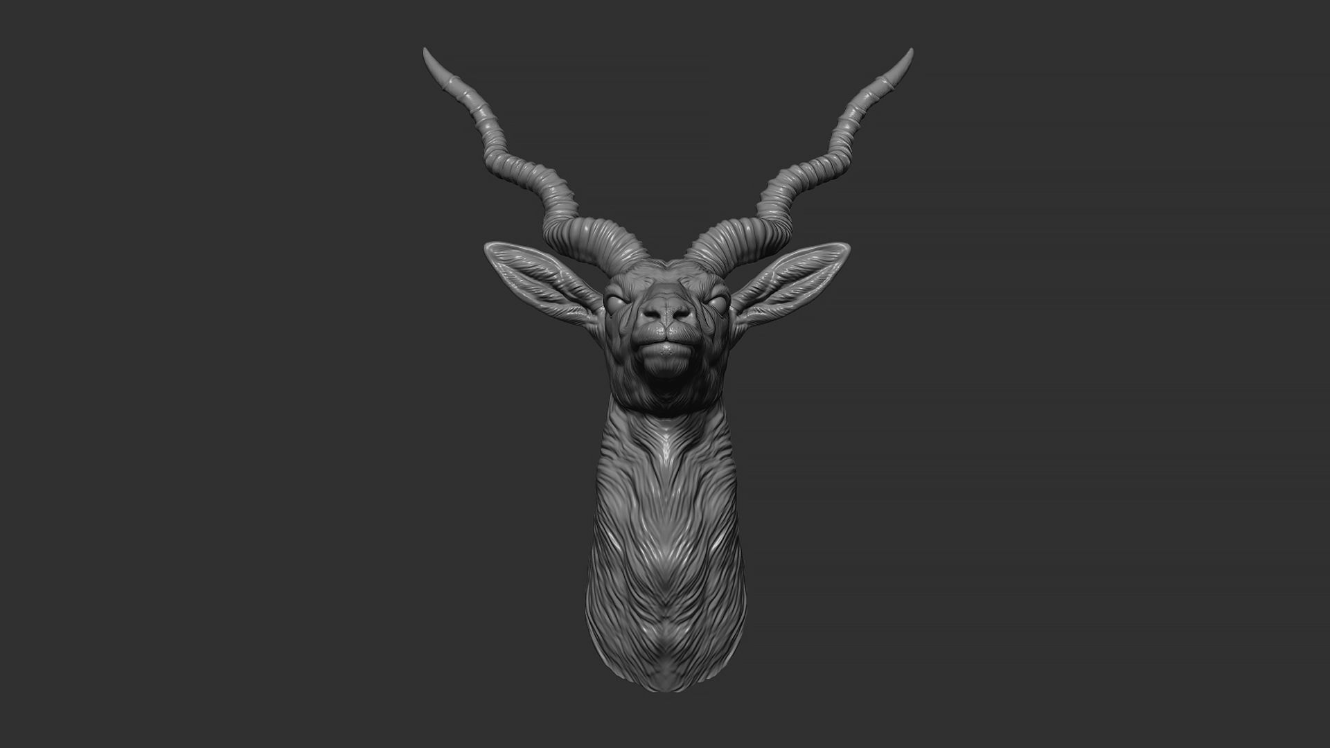 Blackbuck antelope bust 3D print model_5