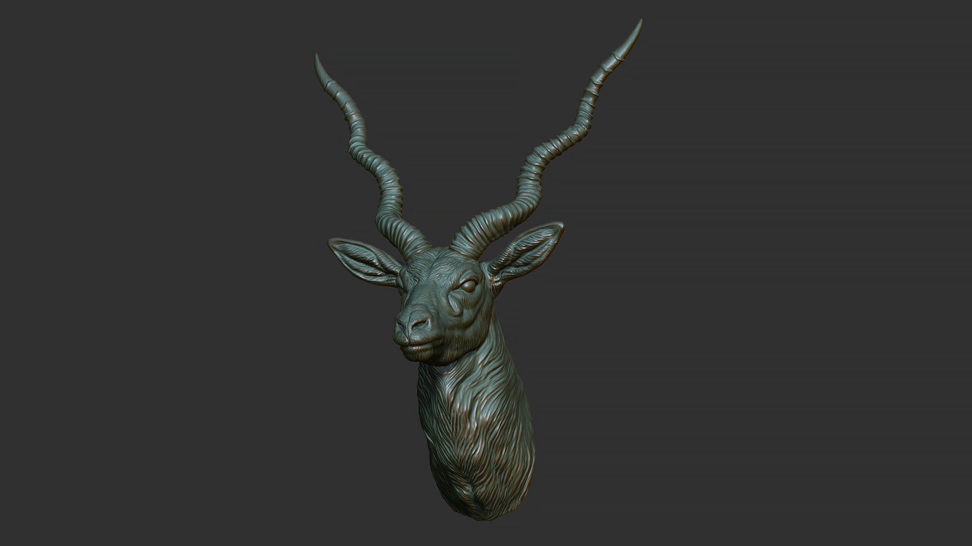 Blackbuck antelope bust 3D print model_7