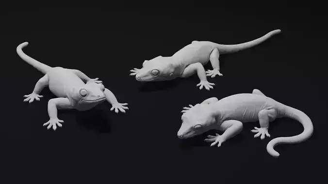 Gargoyle Gecko Pet Reptile 3D Print Model 3D print model