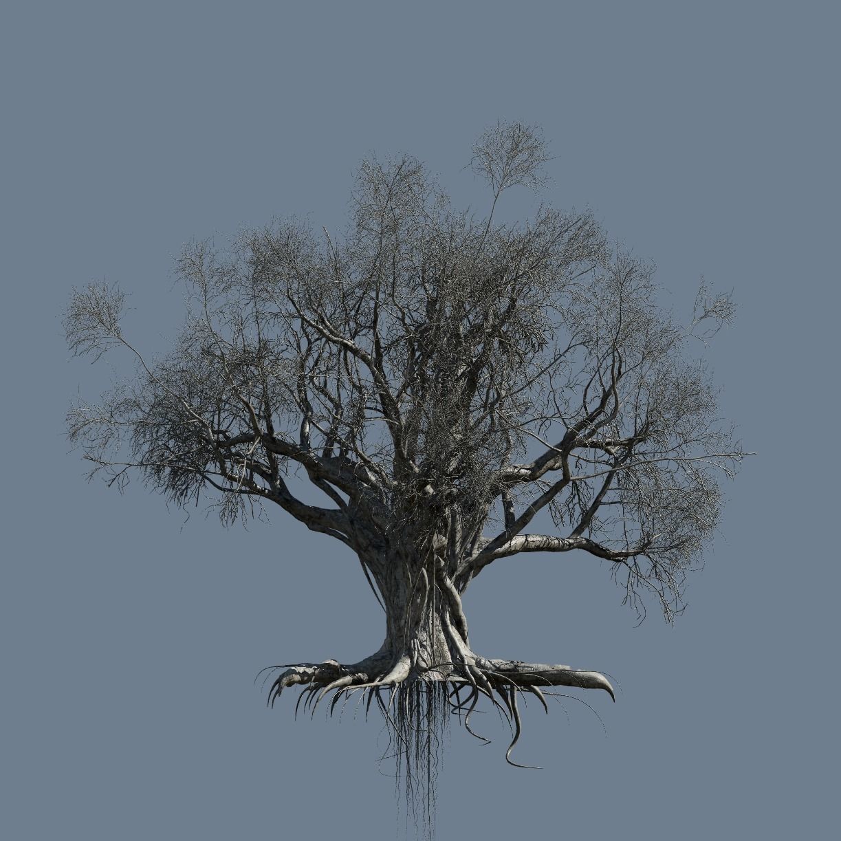 High quality Large banyan tree 07 3D model_2