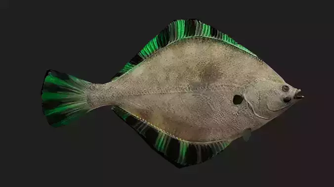 Flatfish