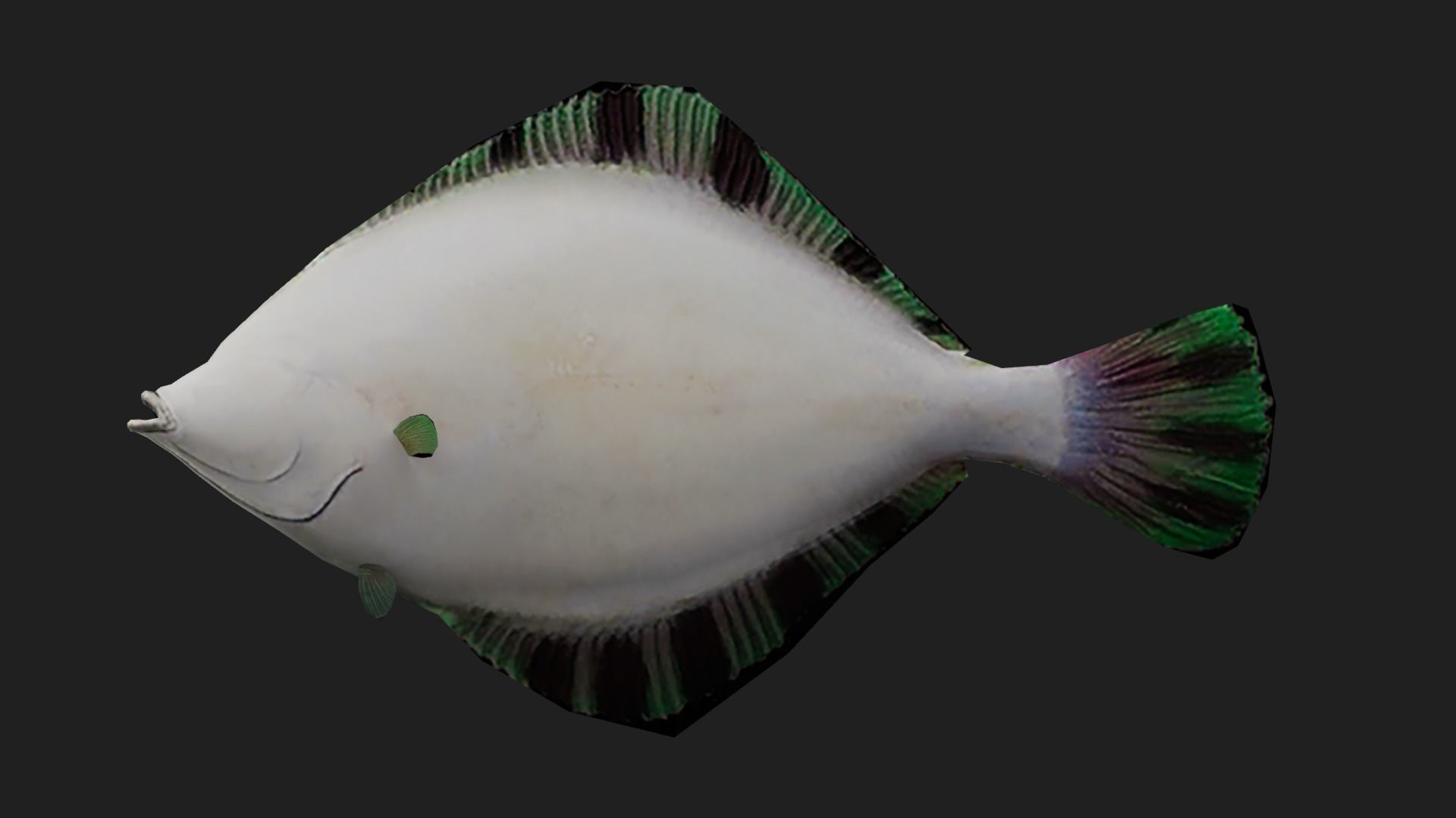 Flatfish Low-poly 3D model_2