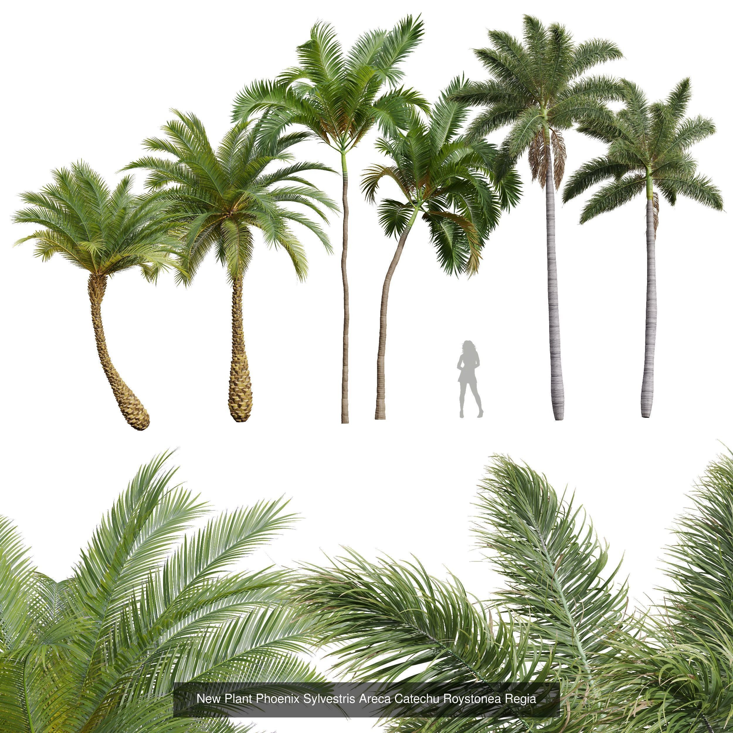  6 Different SETS of Tree SET VOL34 3D Model Collection_2