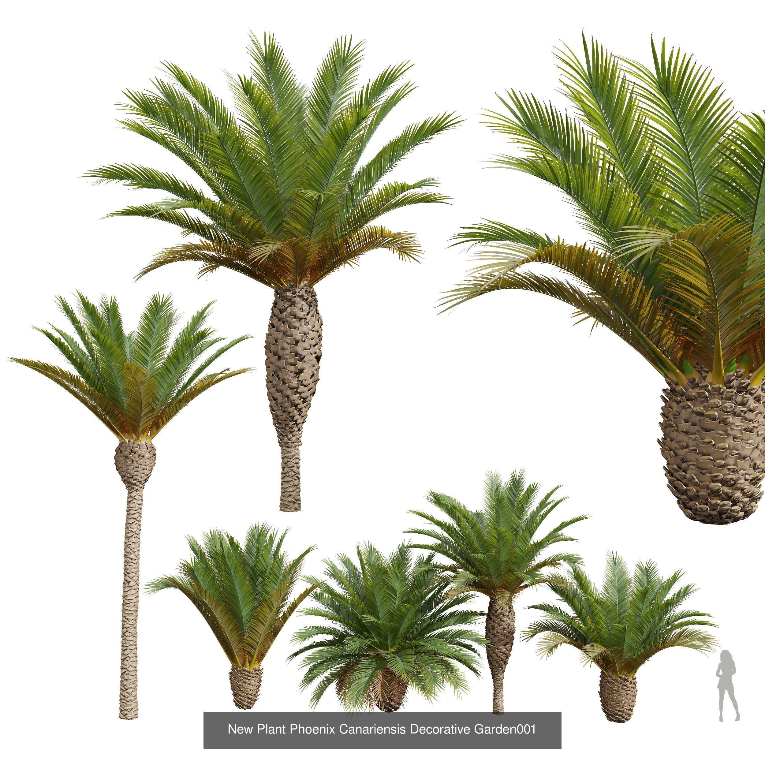  6 Different SETS of Tree SET VOL34 3D Model Collection_3