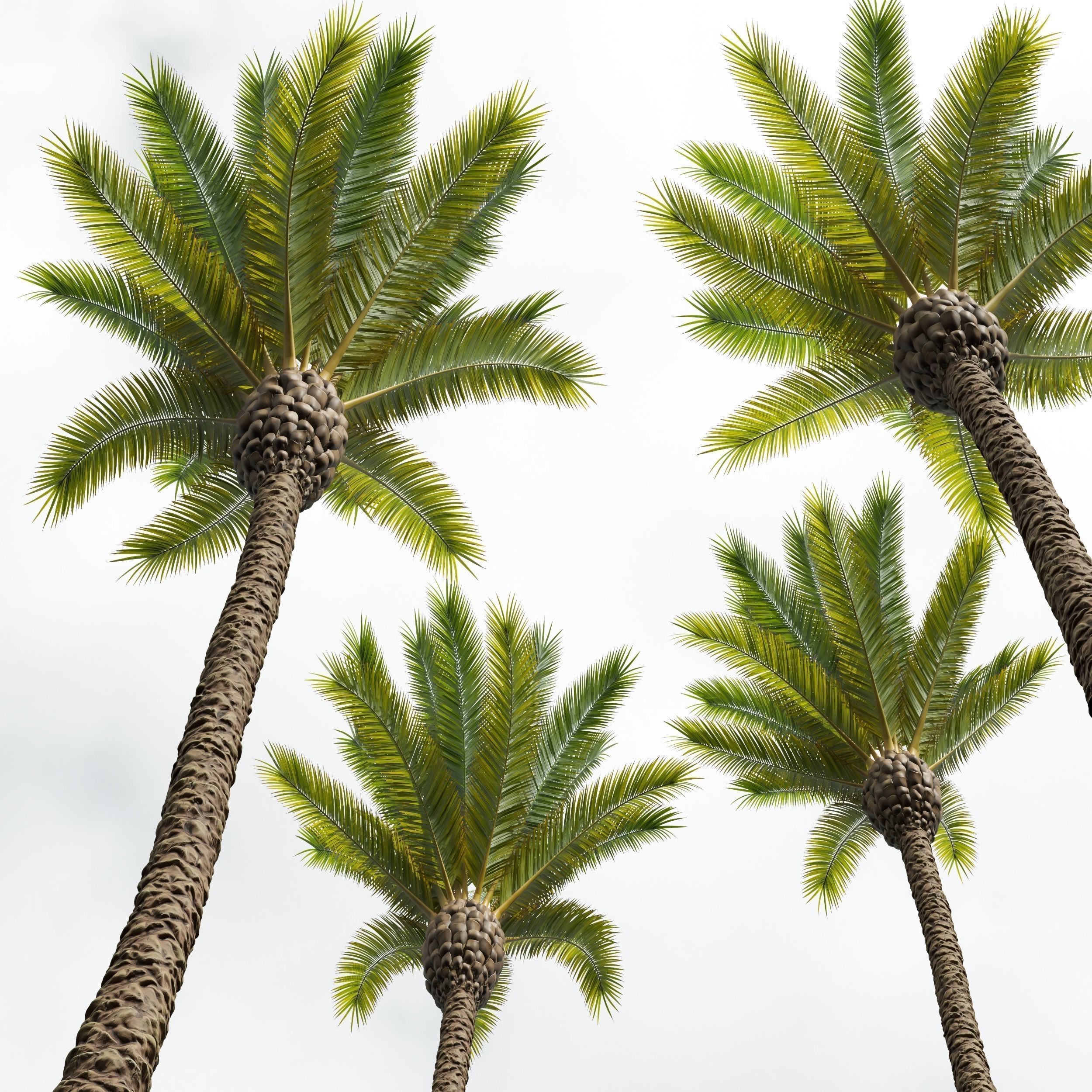  6 Different SETS of Tree SET VOL34 3D Model Collection_16