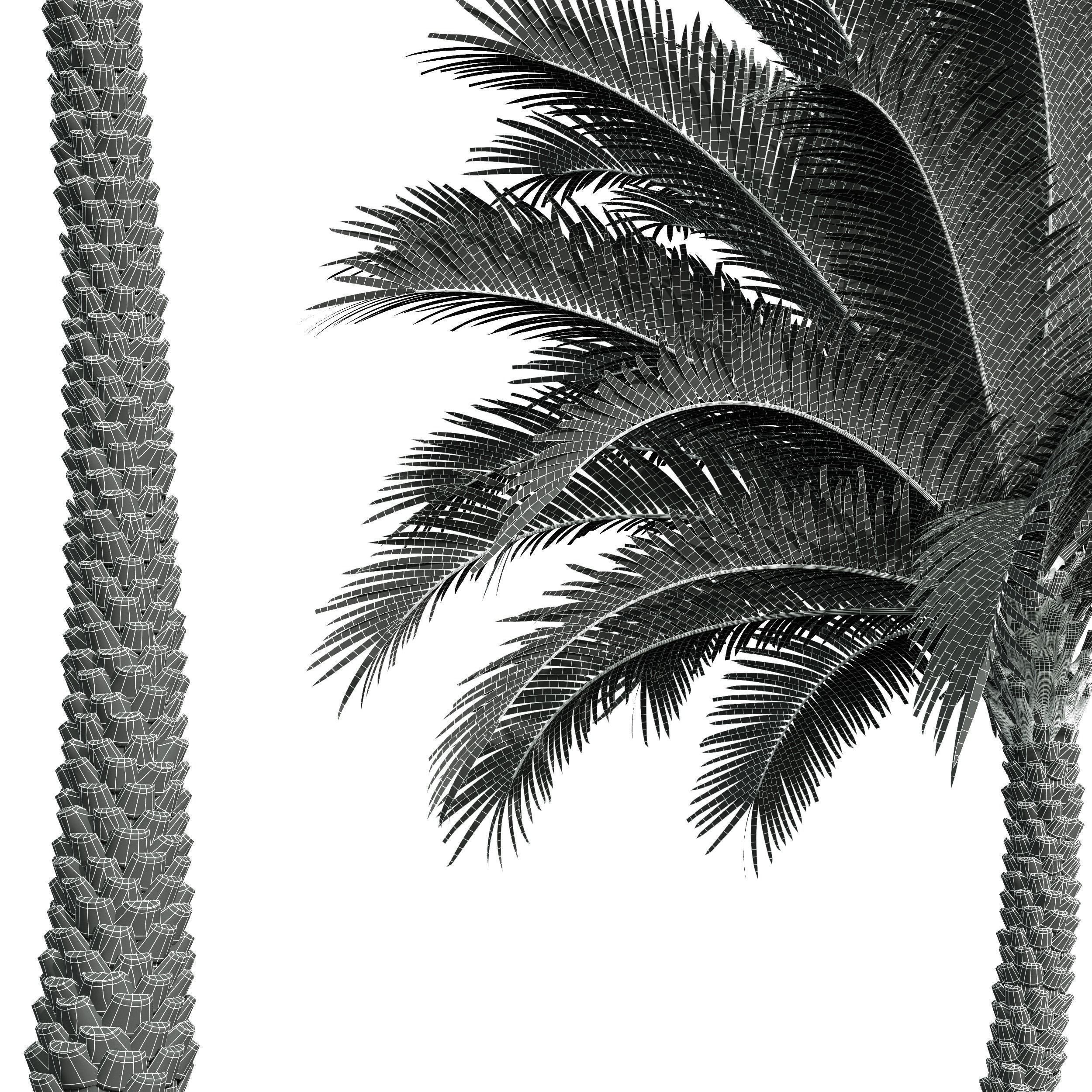  6 Different SETS of Tree SET VOL34 3D Model Collection_27