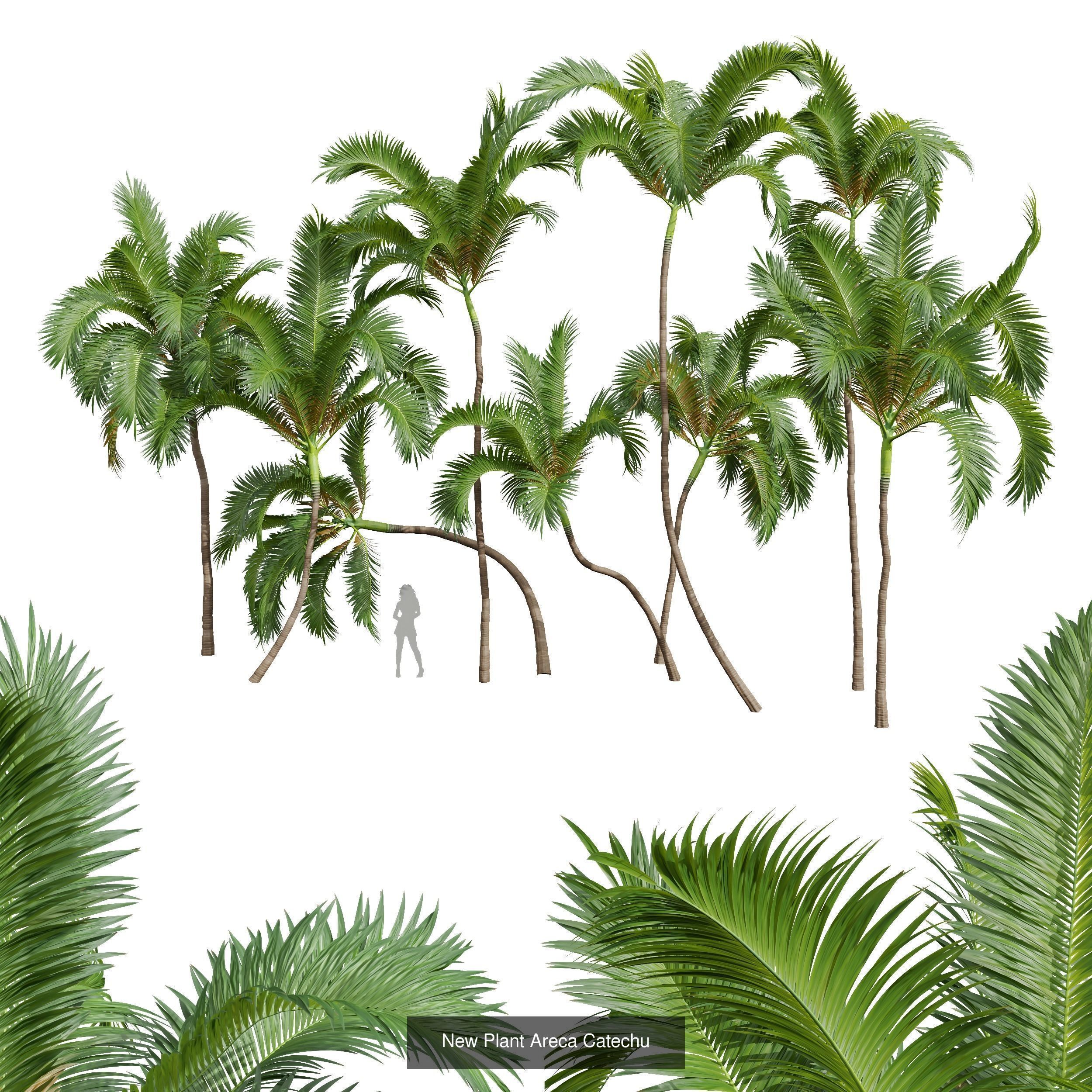  6 Different SETS of Tree SET VOL34 3D Model Collection_4