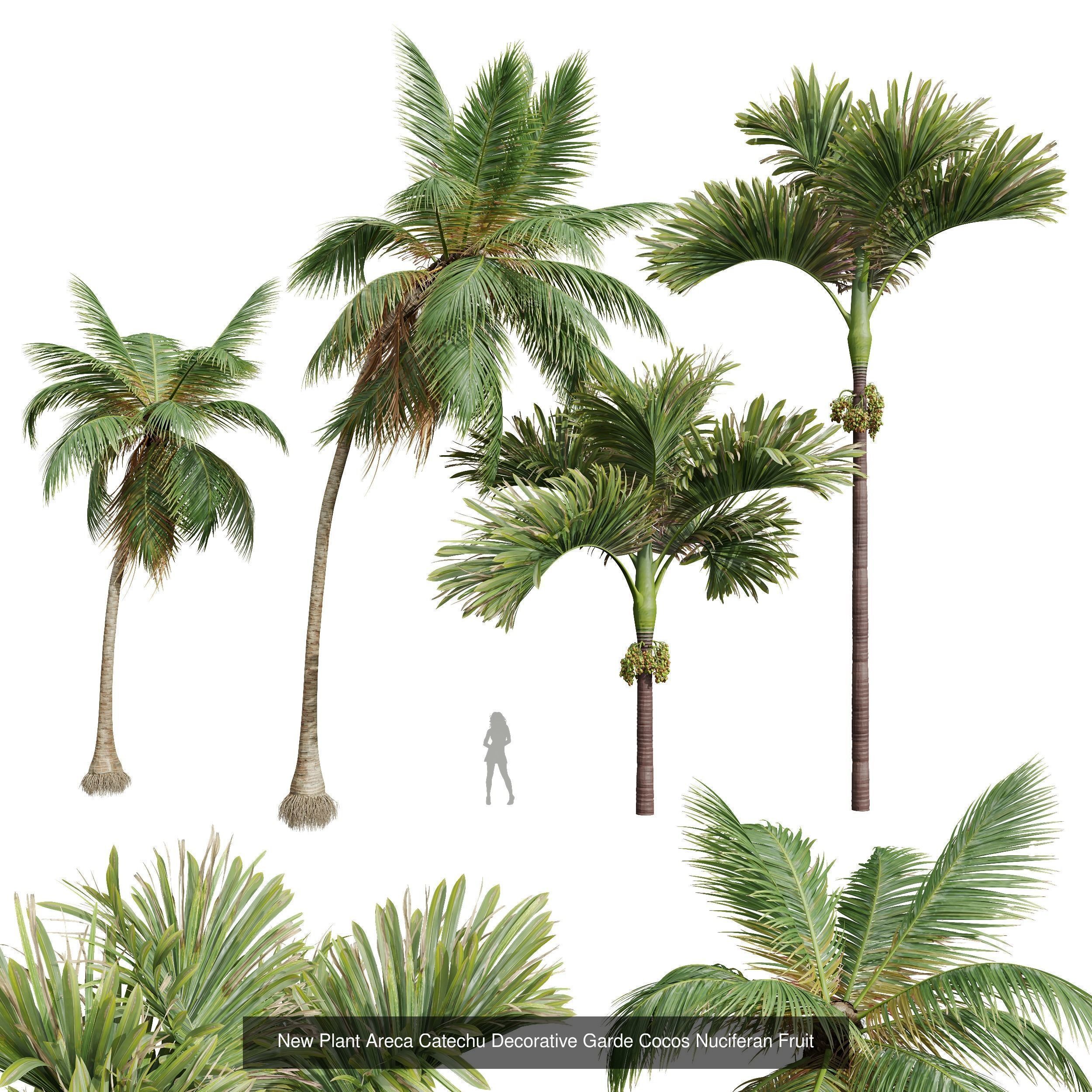  6 Different SETS of Tree SET VOL34 3D Model Collection_5