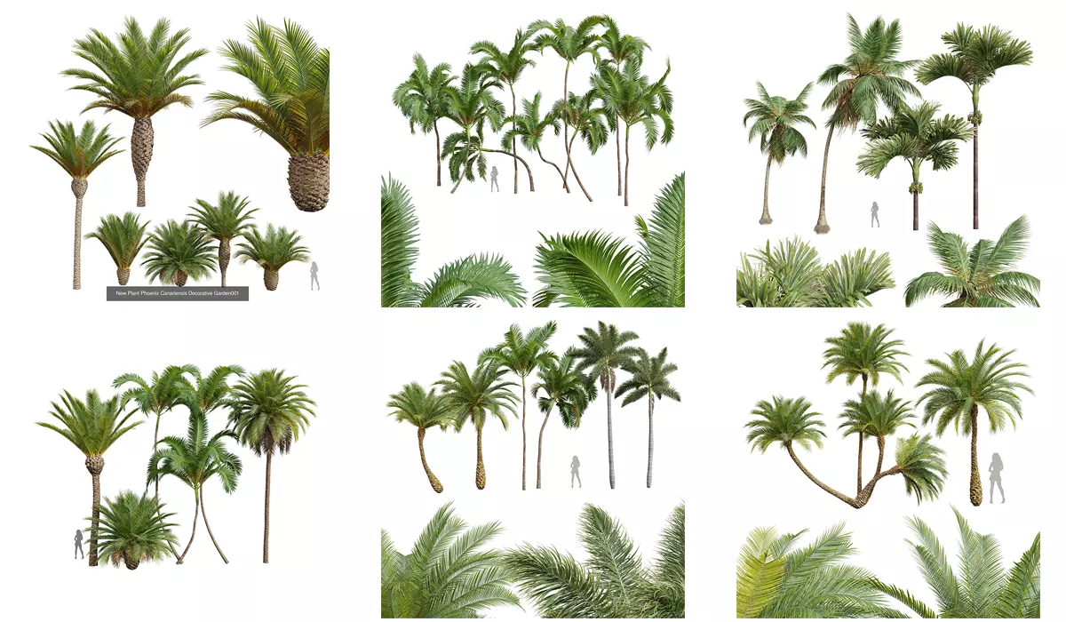  6 Different SETS of Tree SET VOL34 3D Model Collection_0