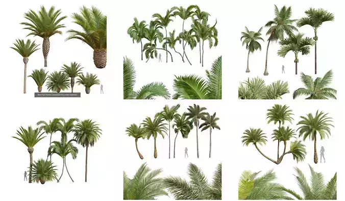  6 Different SETS of Tree SET VOL34 3D Model Collection