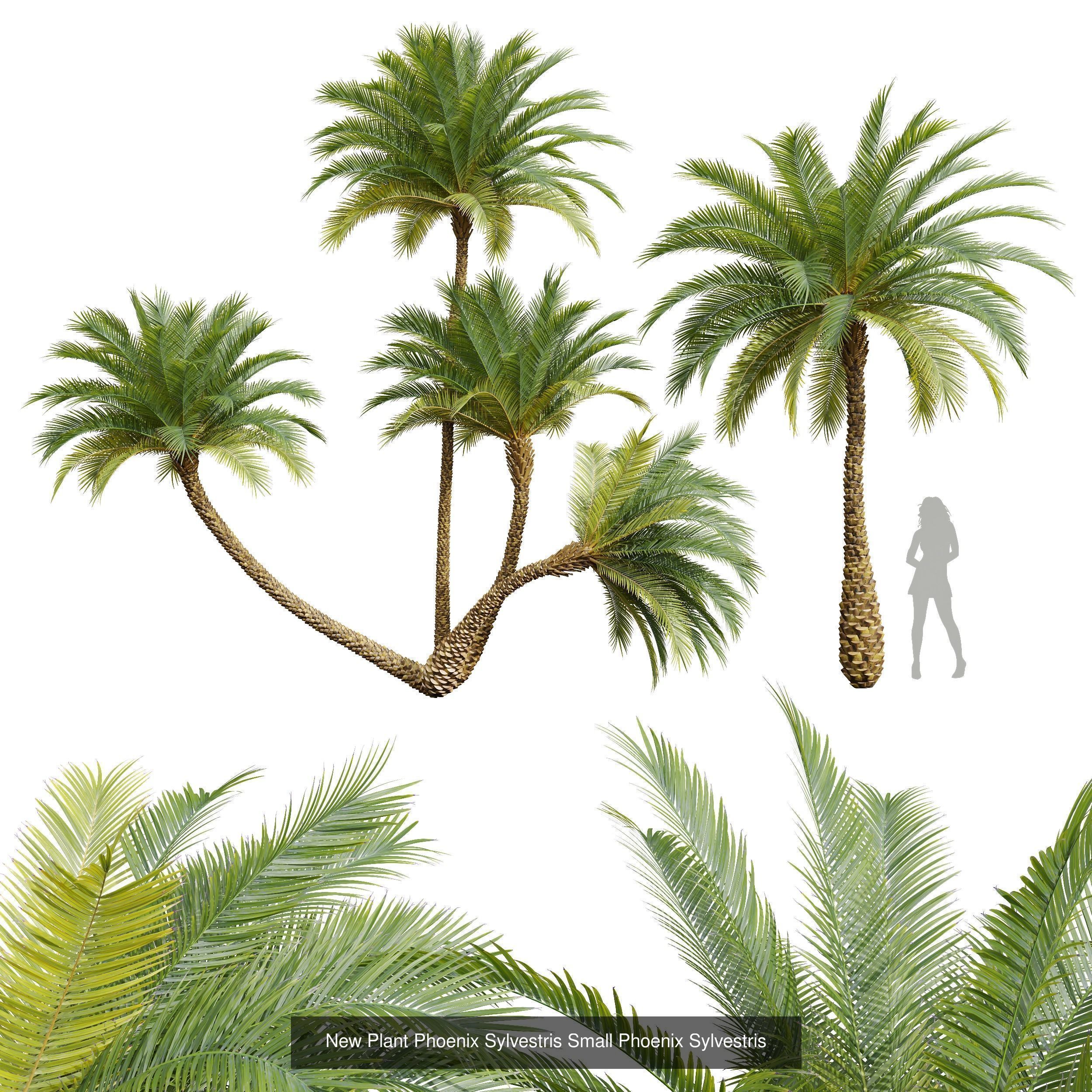  6 Different SETS of Tree SET VOL34 3D Model Collection_1