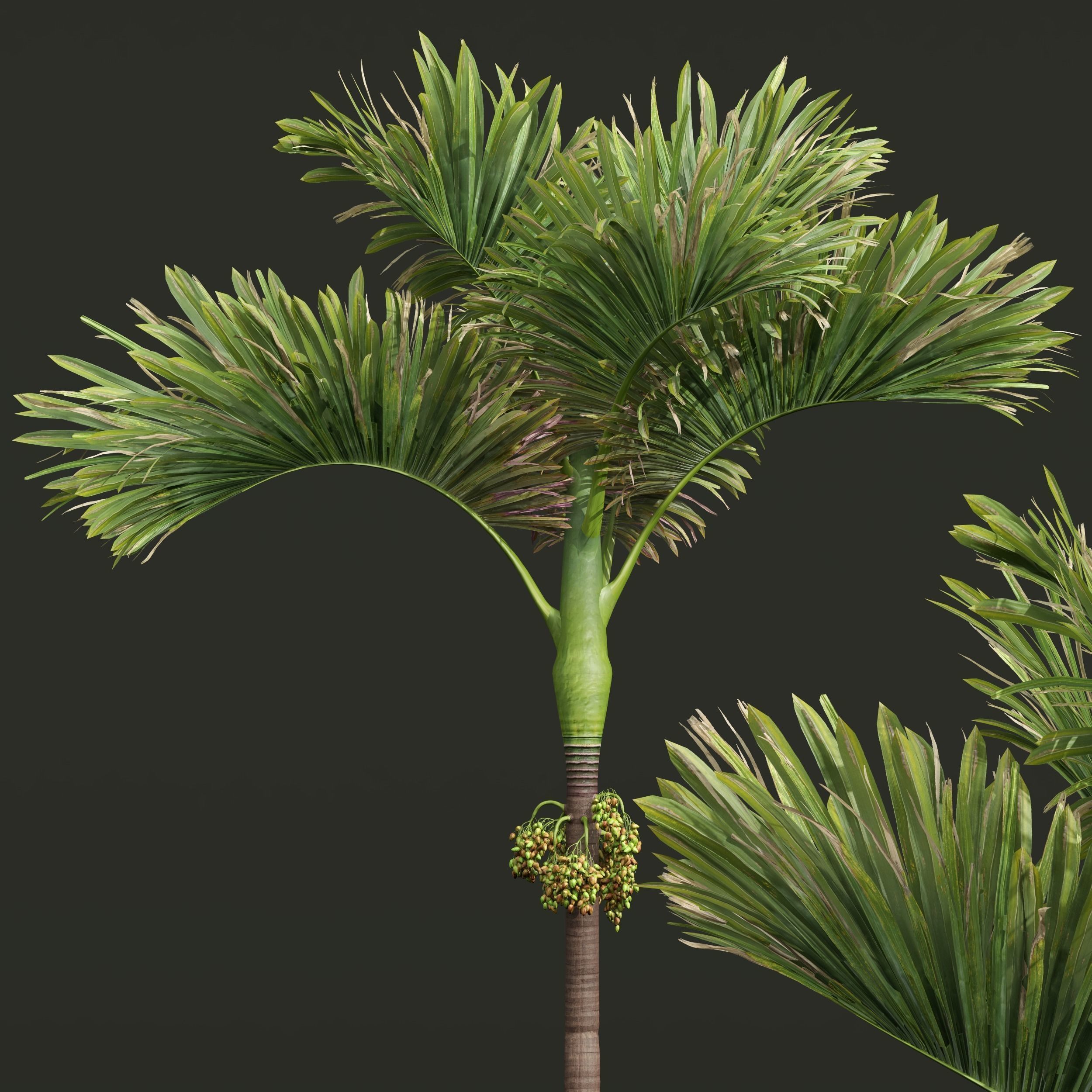  6 Different SETS of Tree SET VOL34 3D Model Collection_21