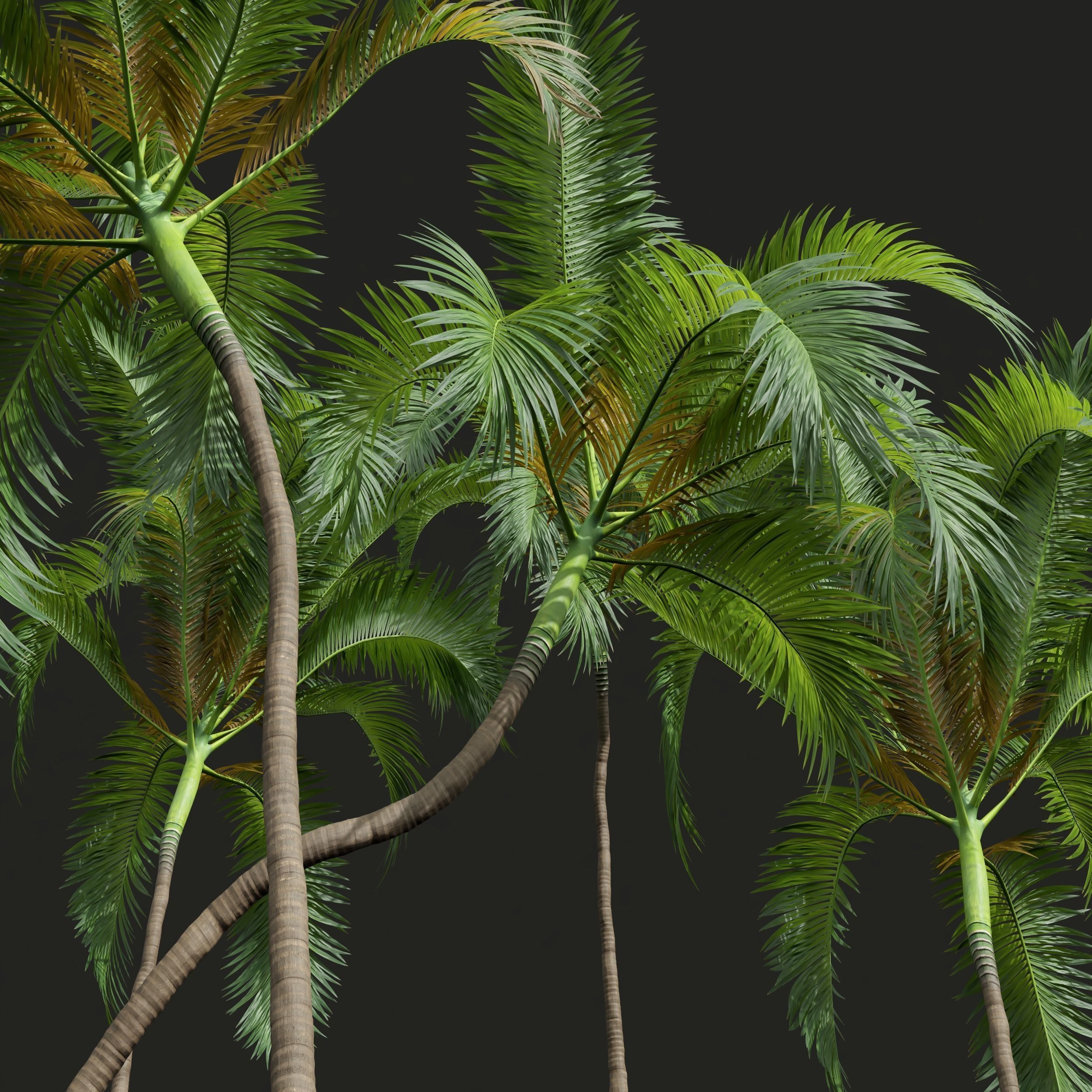  6 Different SETS of Tree SET VOL34 3D Model Collection_19