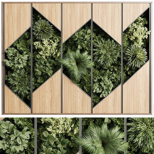 plants set partition in wooden frame - Vertical graden Low-poly 3D model