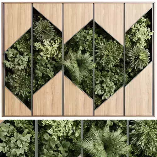 plants set partition in wooden frame - Vertical graden