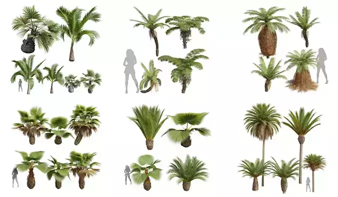  6 Different SETS of Tree SET VOL35 3D Model Collection