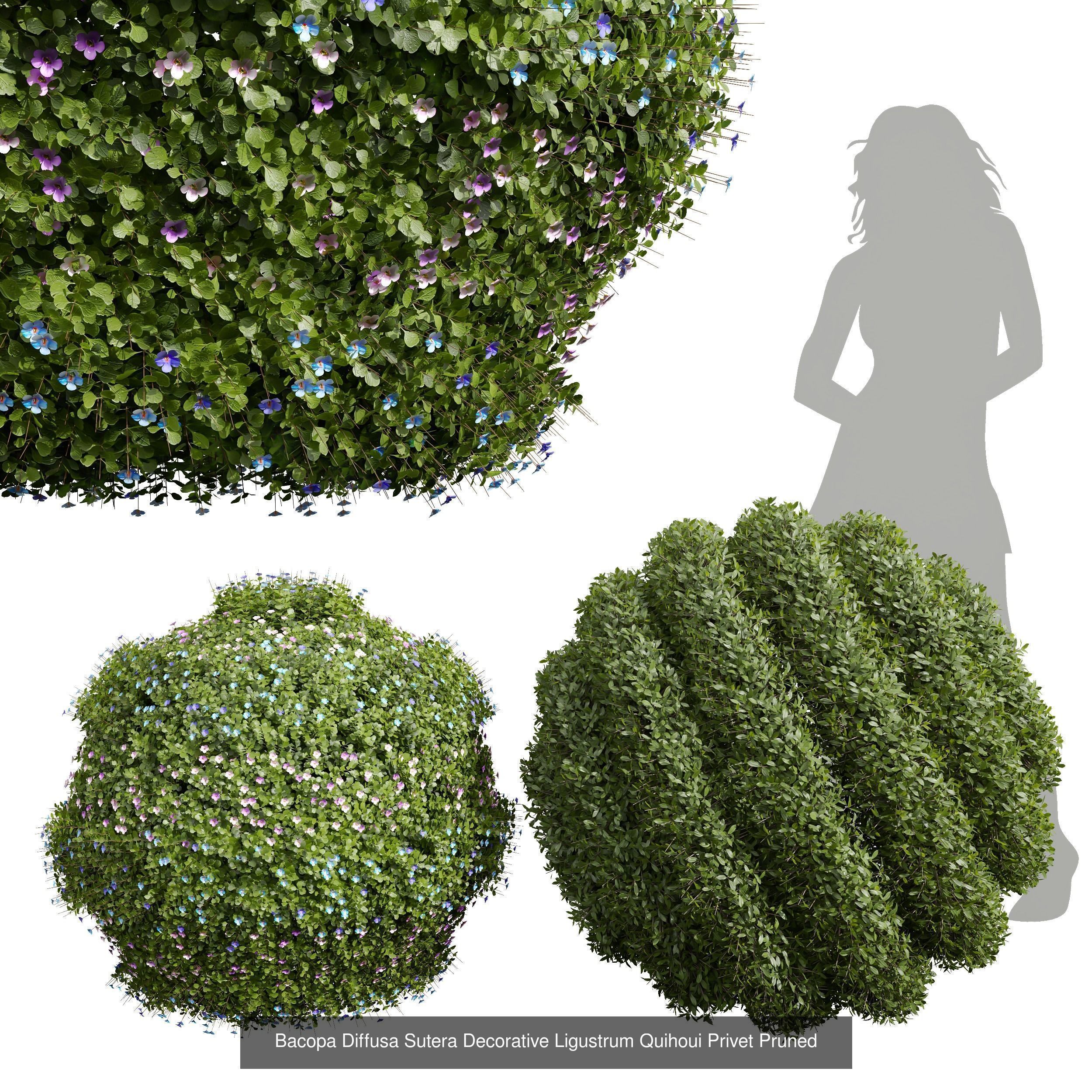 6 Different SETS of Bush SET VOL36 3D Model Collection_7