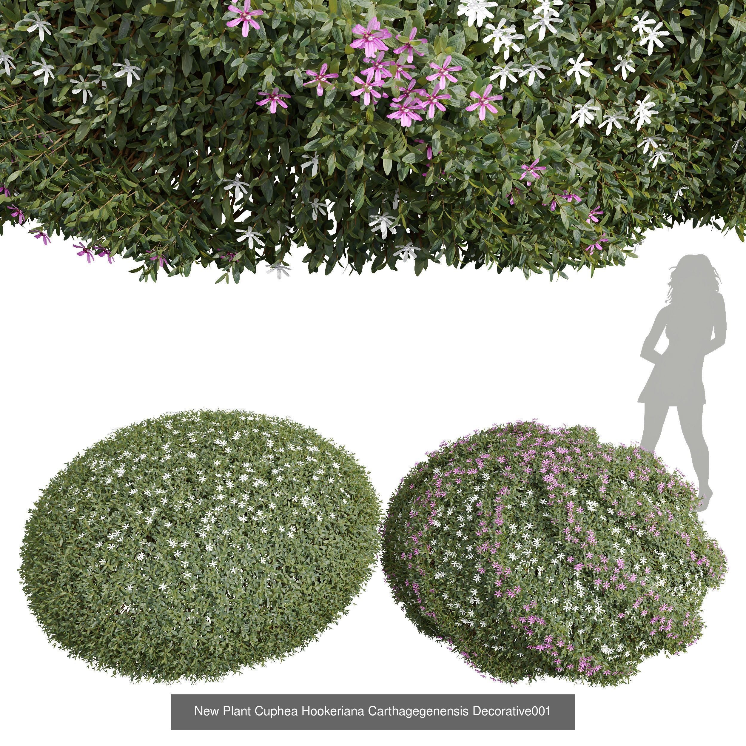 6 Different SETS of Bush SET VOL36 3D Model Collection_6