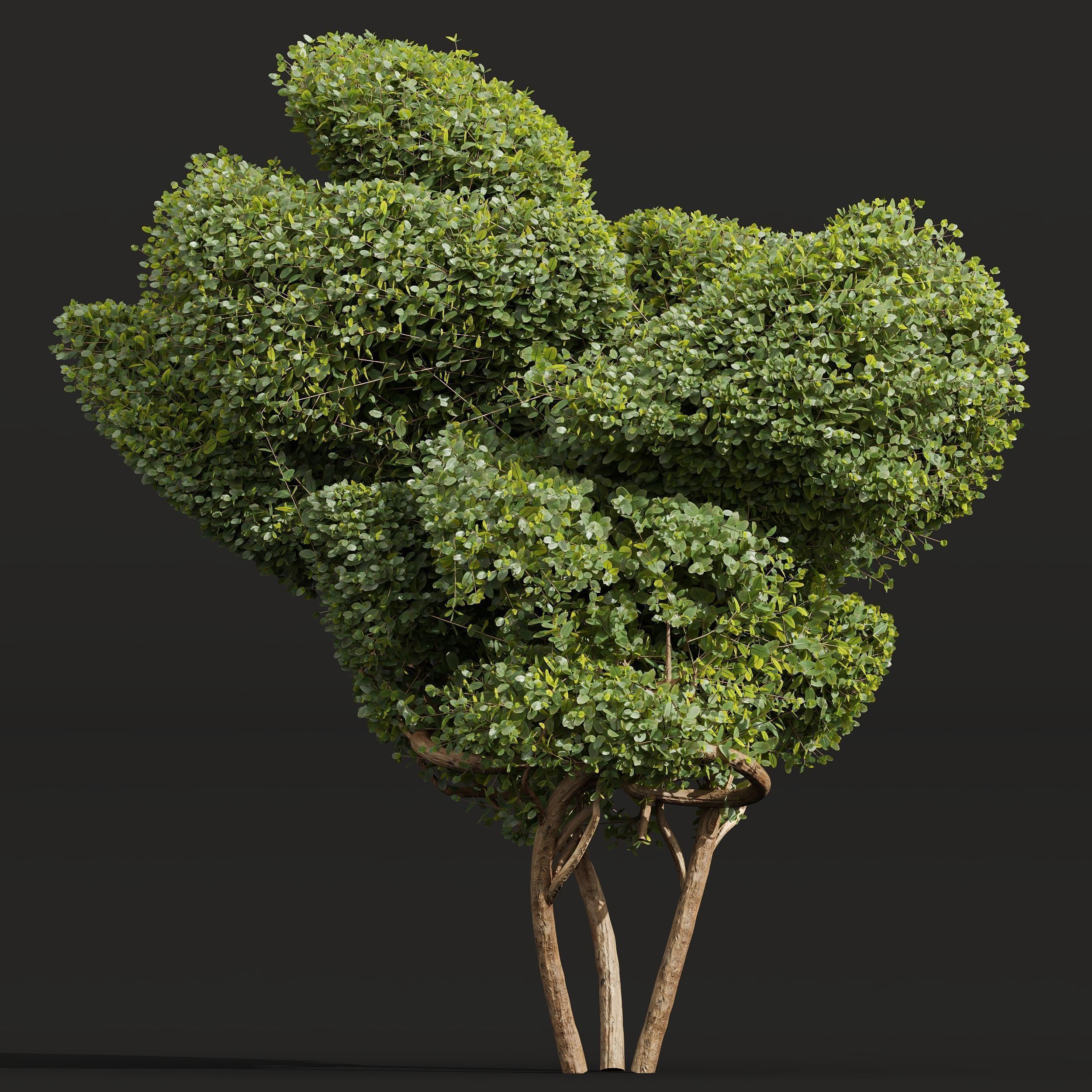 6 Different SETS of Bush SET VOL36 3D Model Collection_12