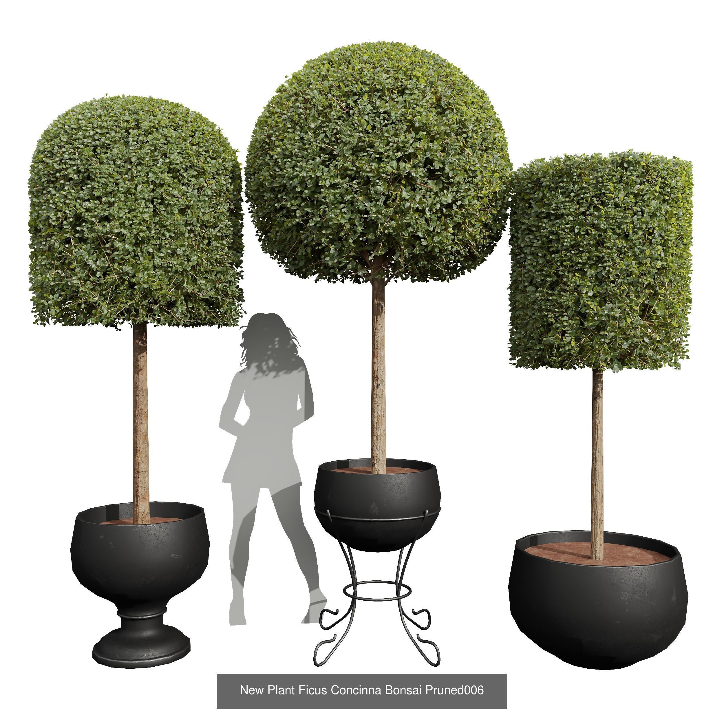 6 Different SETS of Bush SET VOL36 3D Model Collection_3