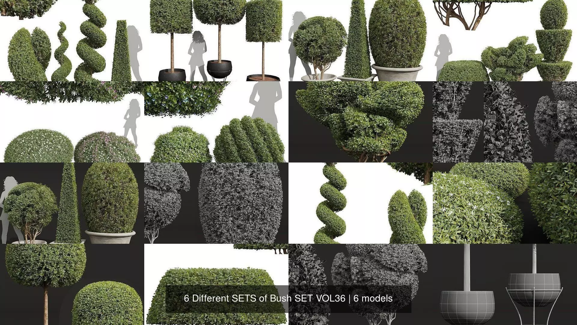 6 Different SETS of Bush SET VOL36 3D Model Collection_1