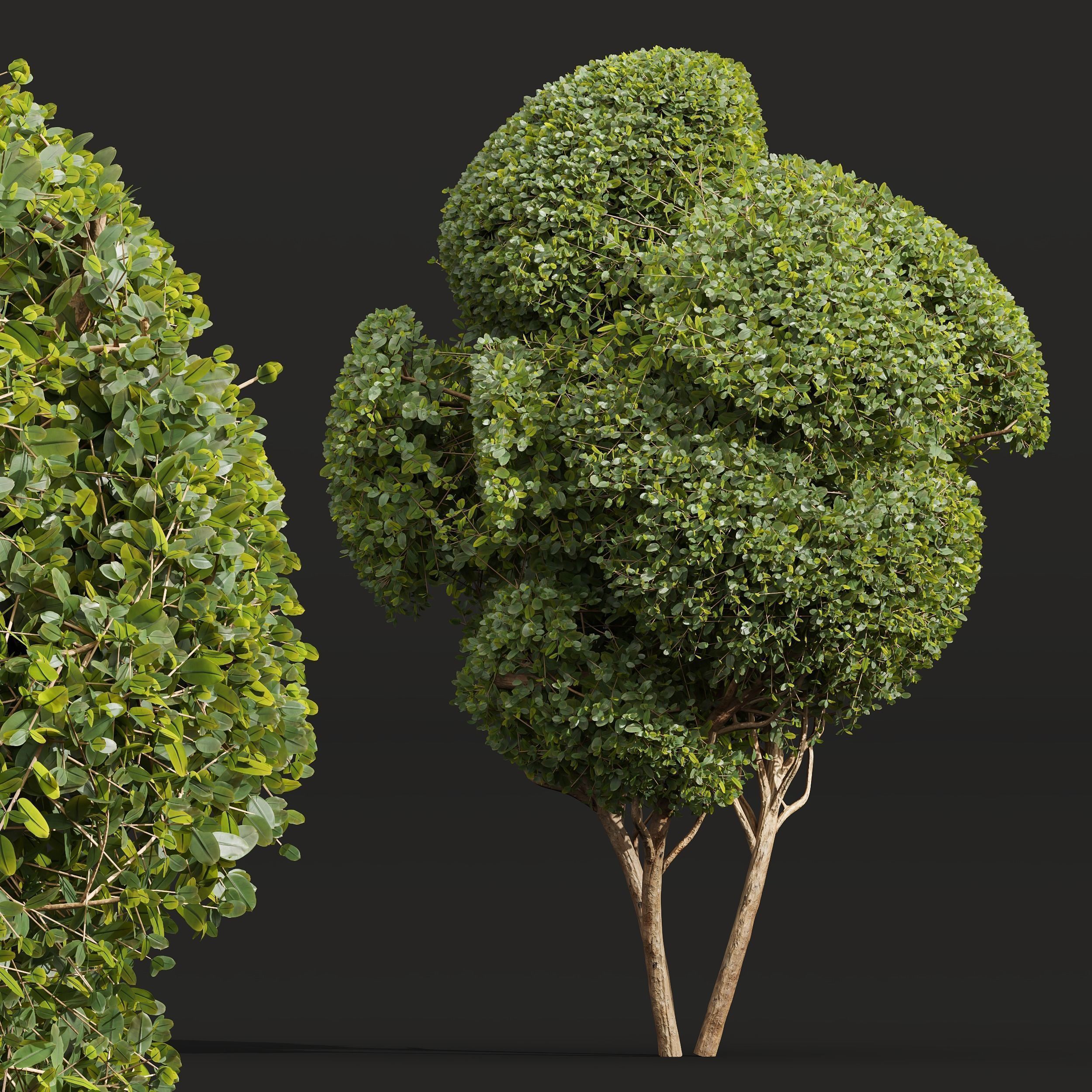 6 Different SETS of Bush SET VOL36 3D Model Collection_14