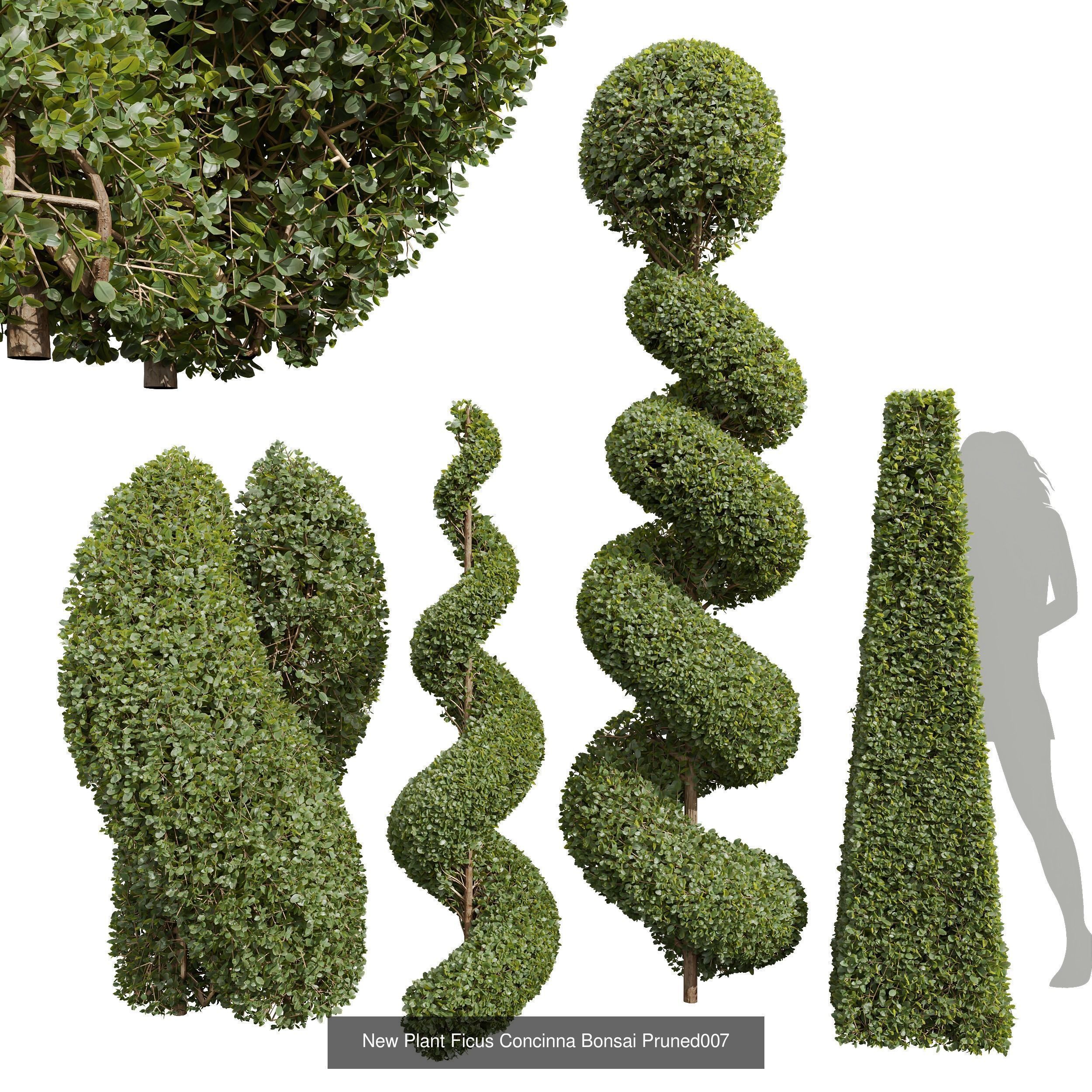 6 Different SETS of Bush SET VOL36 3D Model Collection_2