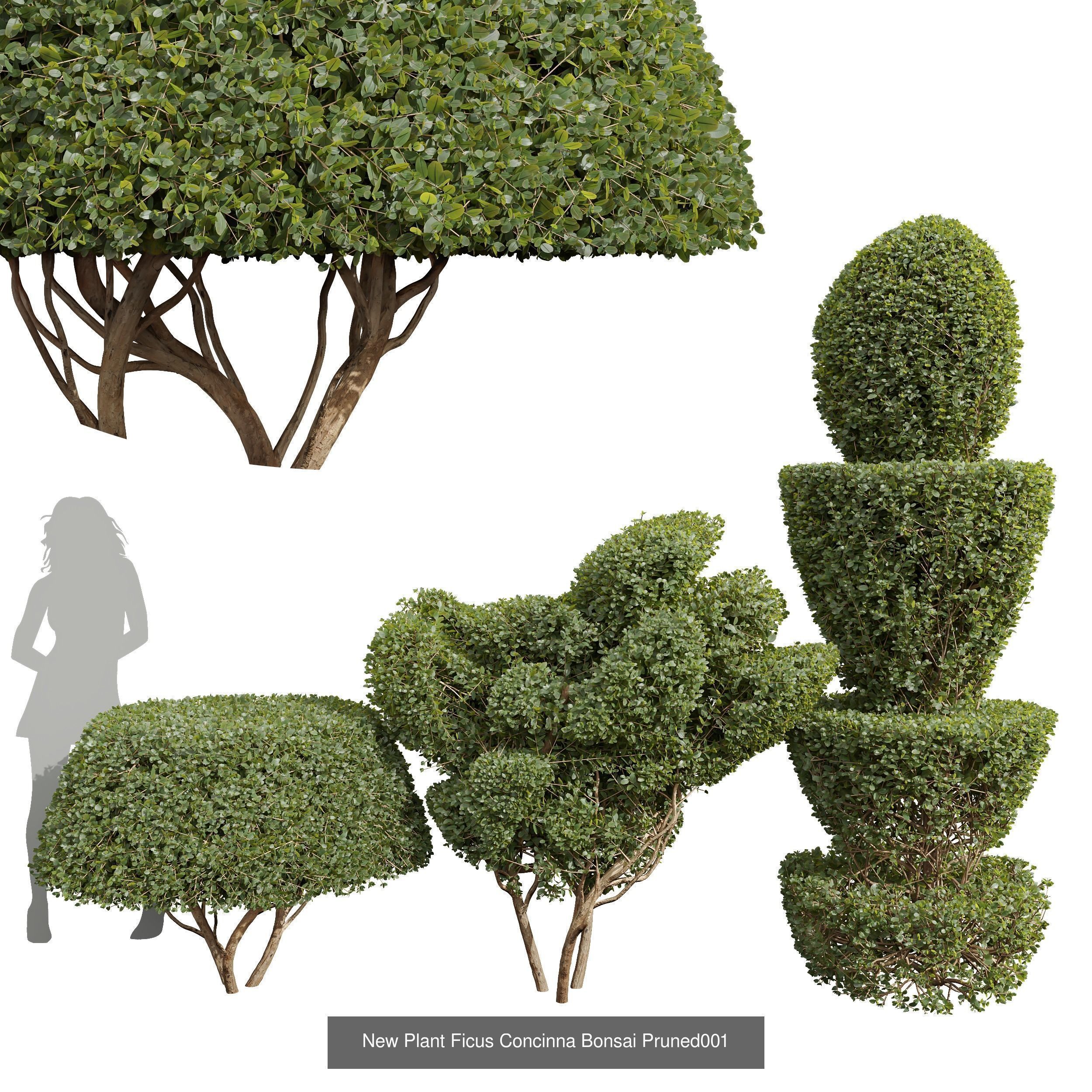 6 Different SETS of Bush SET VOL36 3D Model Collection_5