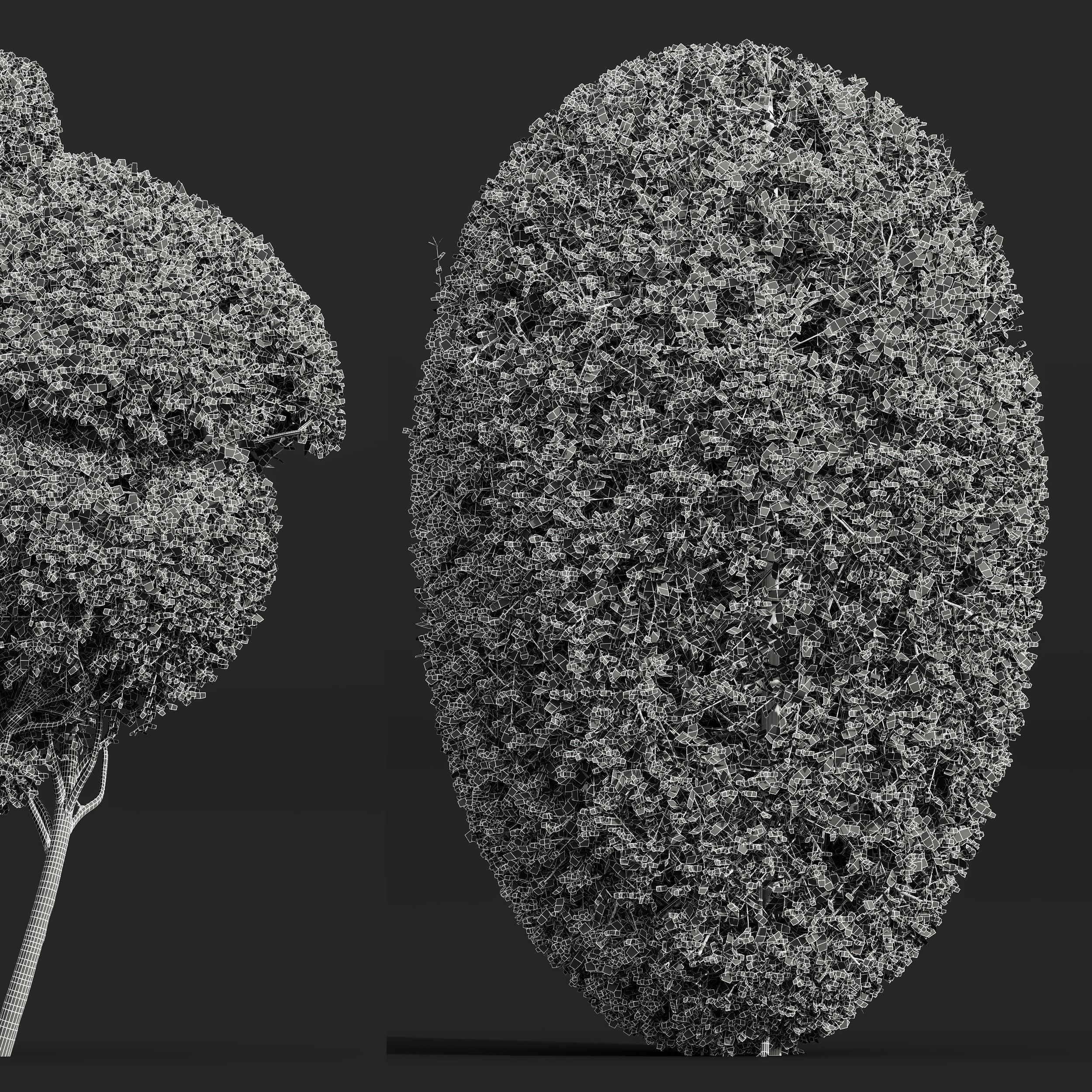 6 Different SETS of Bush SET VOL36 3D Model Collection_19
