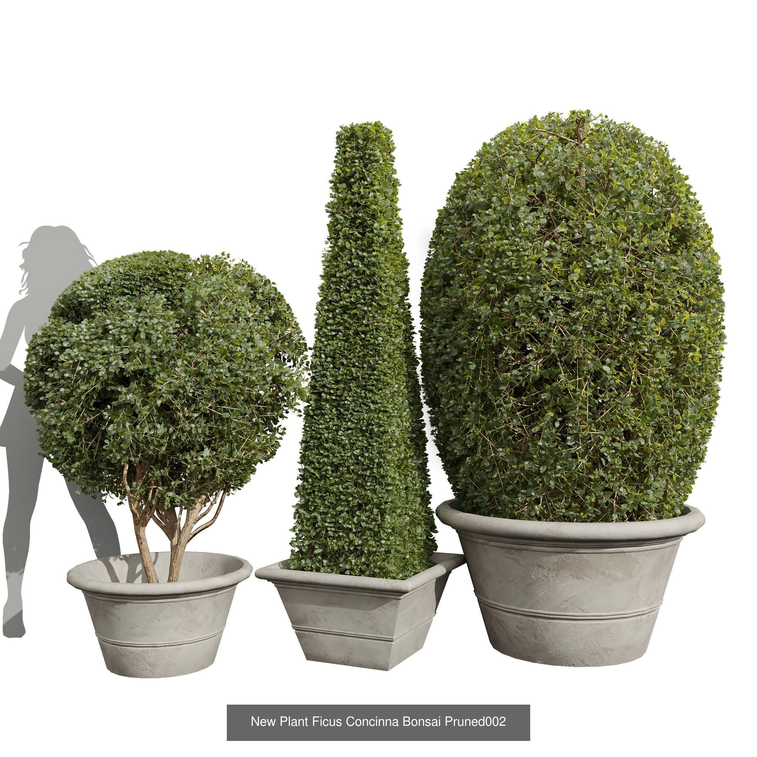 6 Different SETS of Bush SET VOL36 3D Model Collection_4
