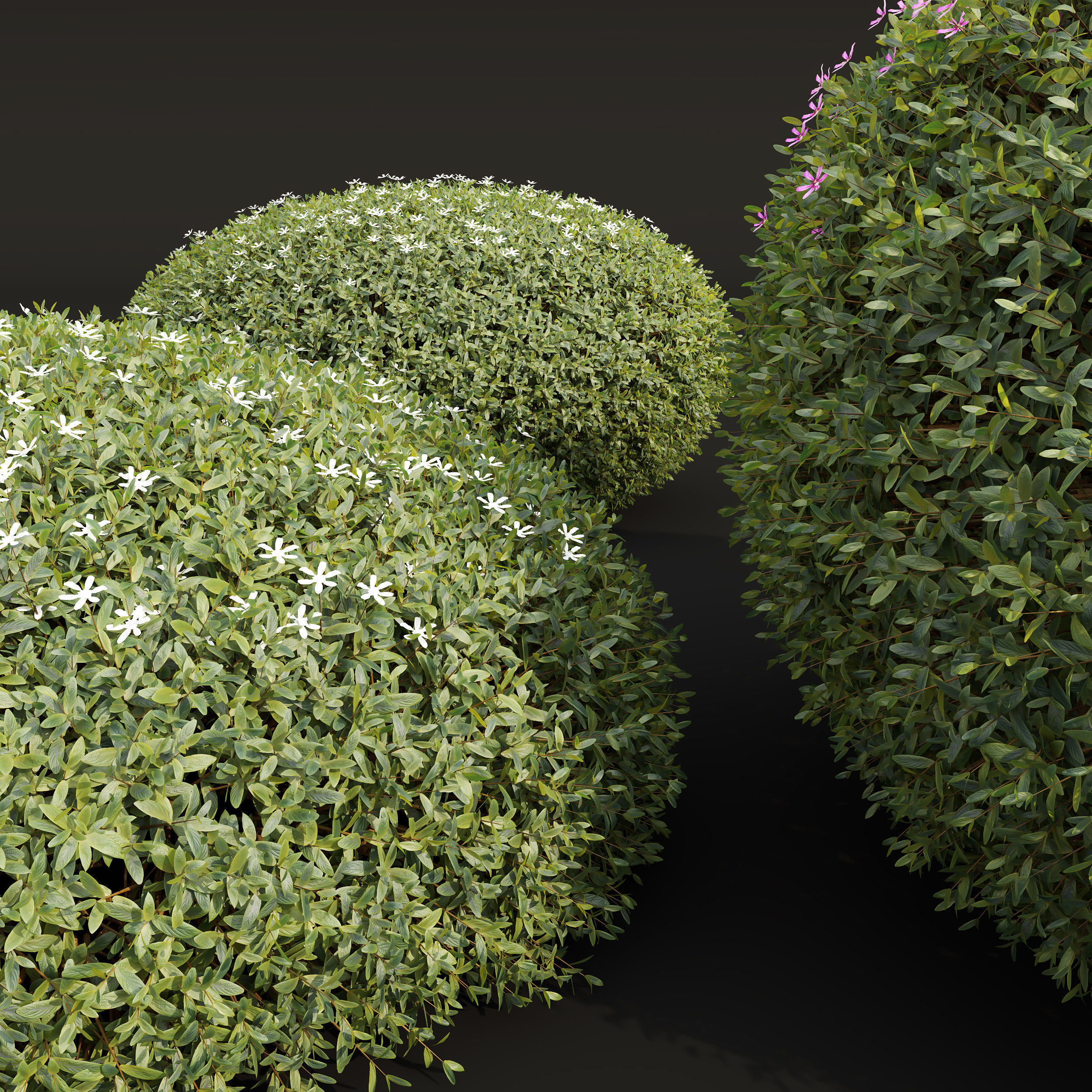 6 Different SETS of Bush SET VOL36 3D Model Collection_18