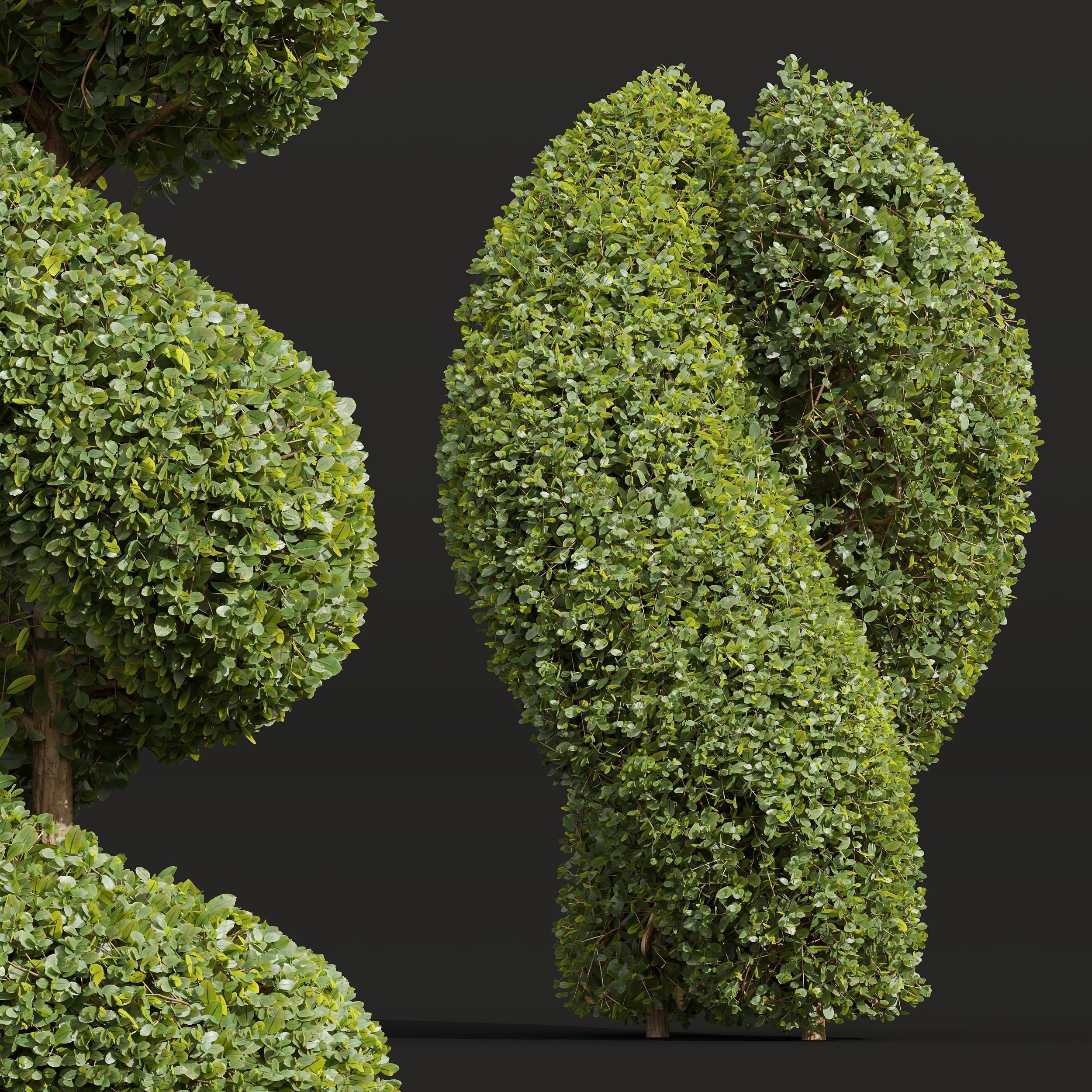6 Different SETS of Bush SET VOL36 3D Model Collection_17