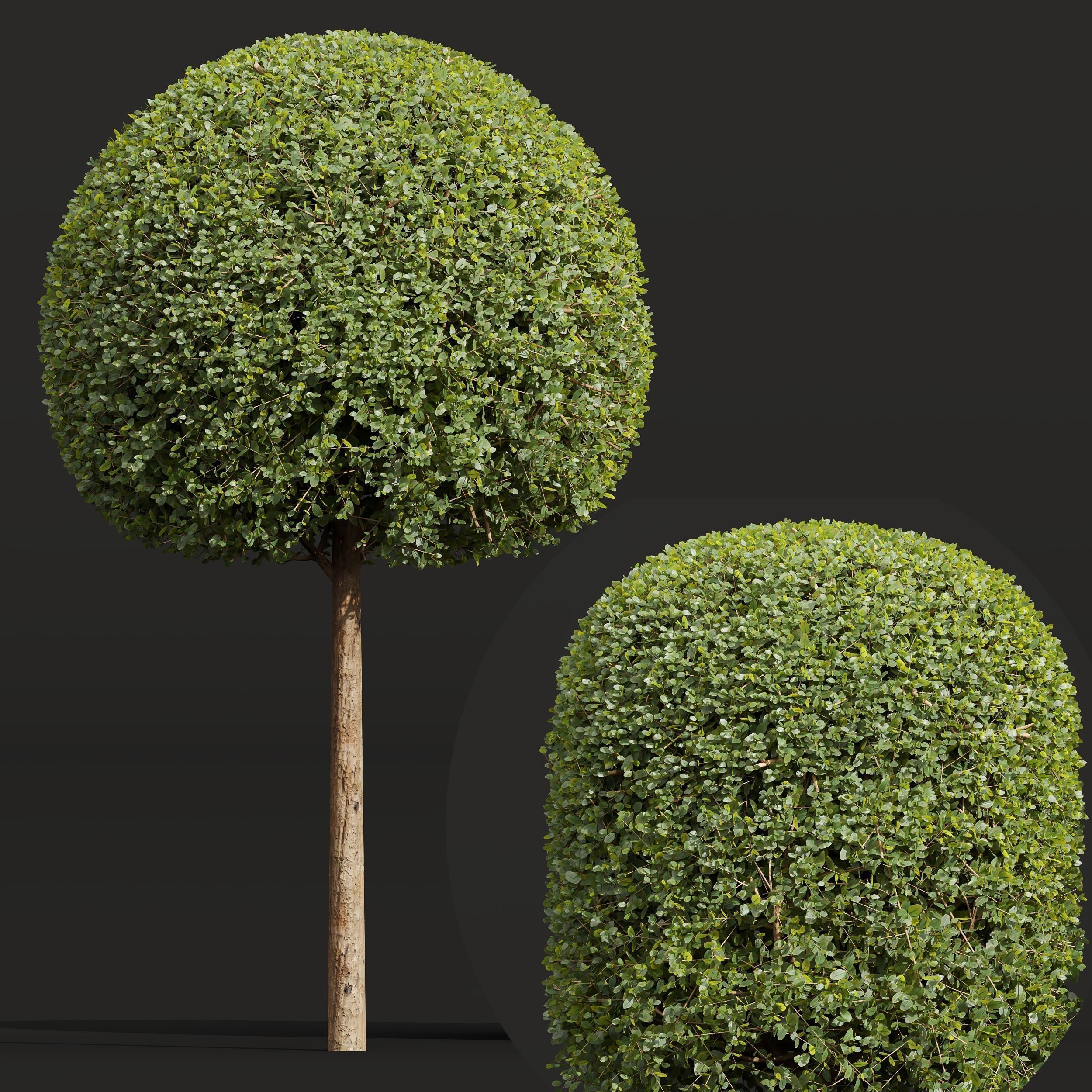 6 Different SETS of Bush SET VOL36 3D Model Collection_15