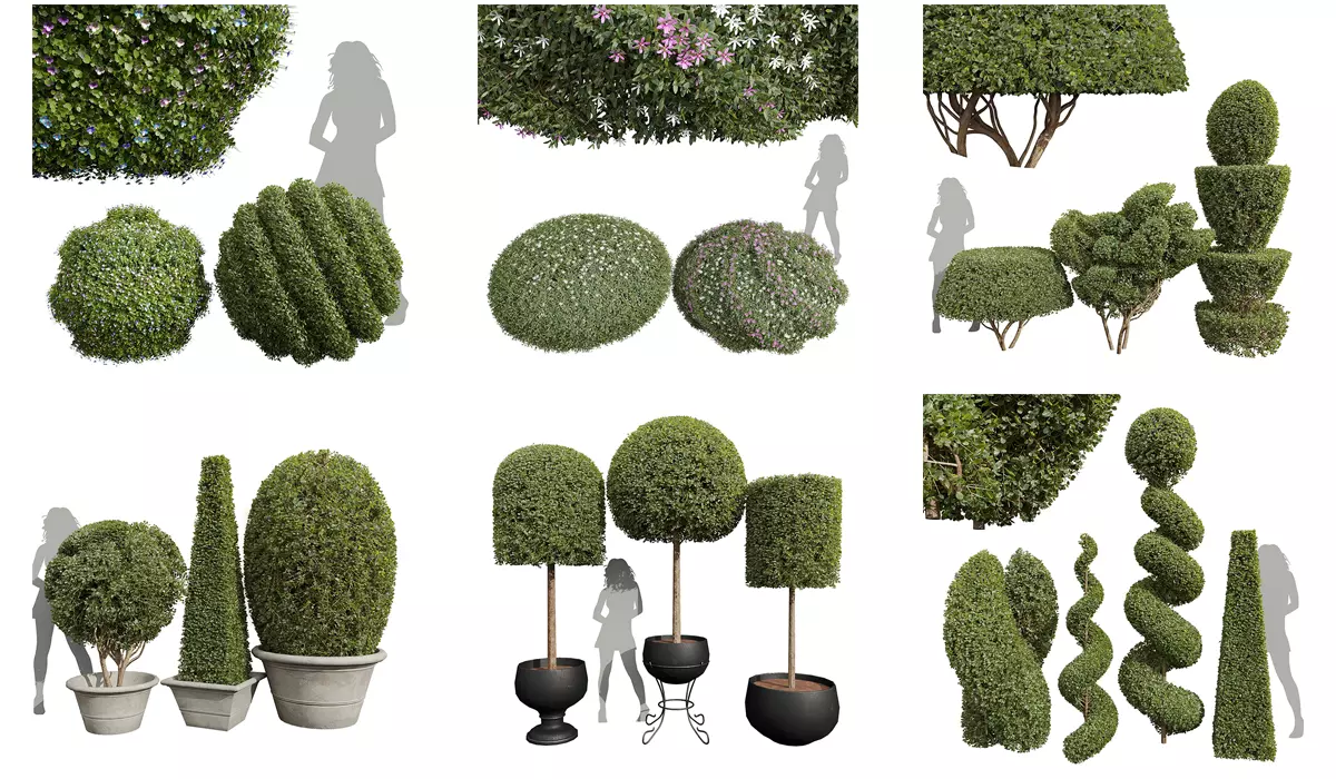 6 Different SETS of Bush SET VOL36 3D Model Collection_0